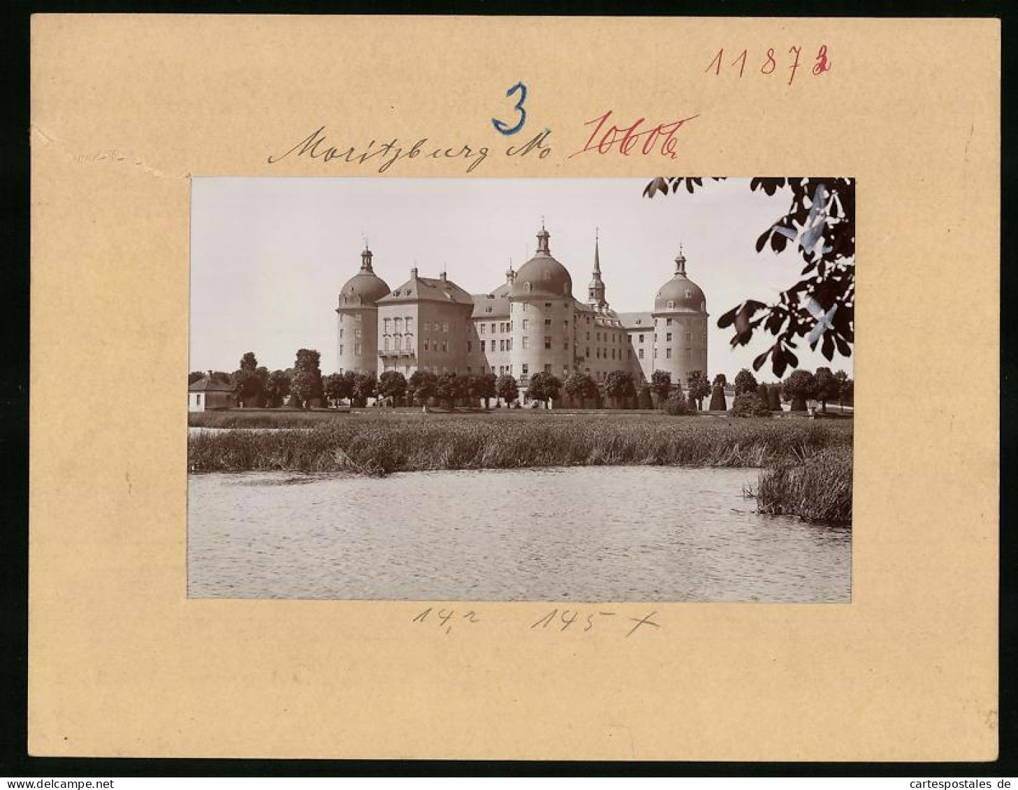 Fotografie Brück & Sohn Meissen, Ansicht Moritzburg, Blick Vom Wasser Auf Das Jagdschloss Moritzburg  - Orte