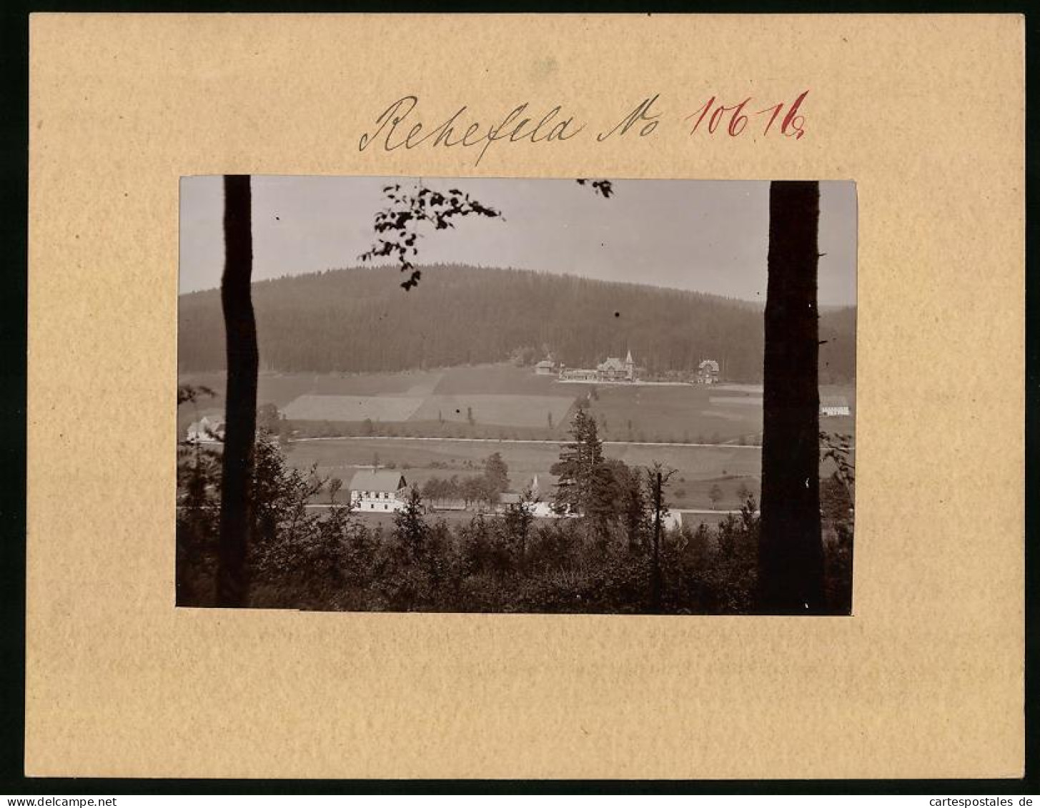 Fotografie Brück & Sohn Meissen, Ansicht Rehefeld I. Erzg., Blick Nach Dem Jagdschloss  - Places