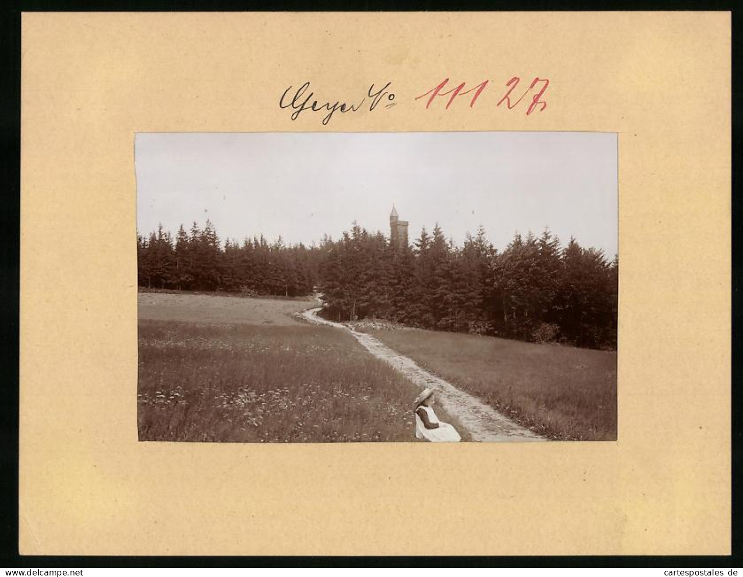 Fotografie Brück & Sohn Meissen, Ansicht Geyer I. Erzg., Blick Auf Den Aussichtsturm Waltershöhe  - Lieux