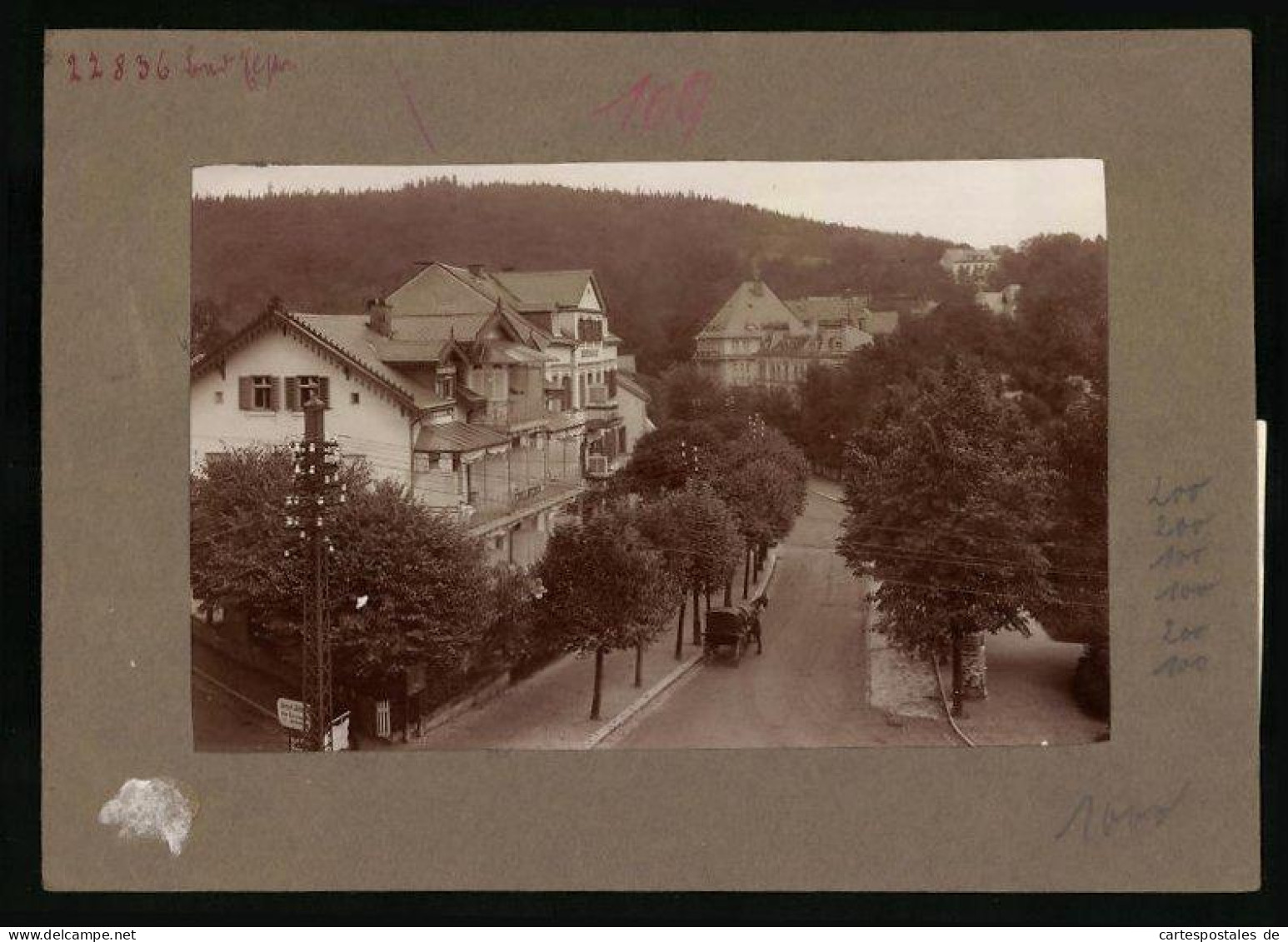 Fotografie Brück & Sohn Meissen, Ansicht Bad Elster, Ritterstrasse Mit Haus Rheingold  - Lieux