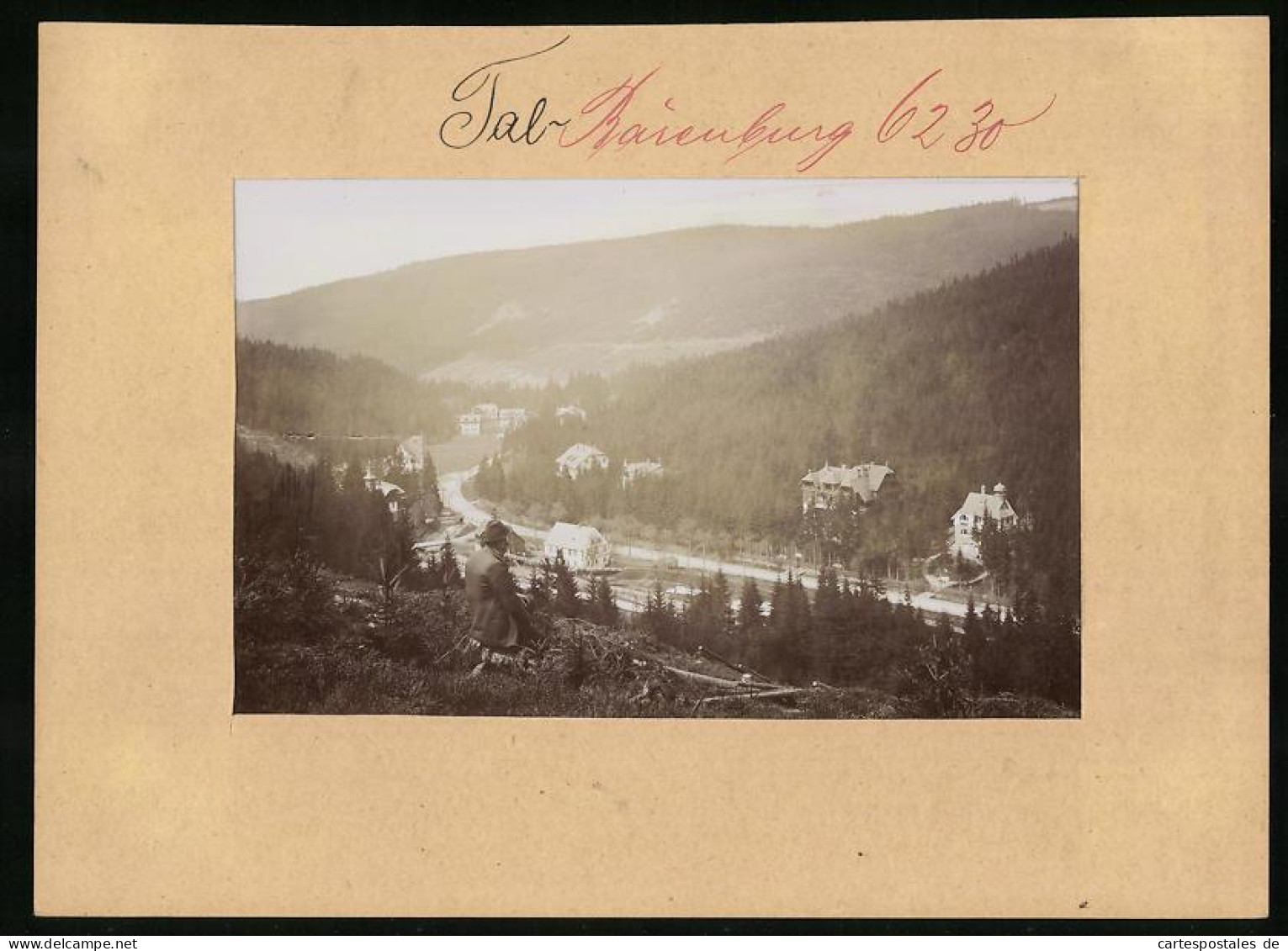 Fotografie Brück & Sohn Meissen, Ansicht Tal-Bärenburg, Herr Schaut Vom Berg Auf Die Villen Im Tal  - Places