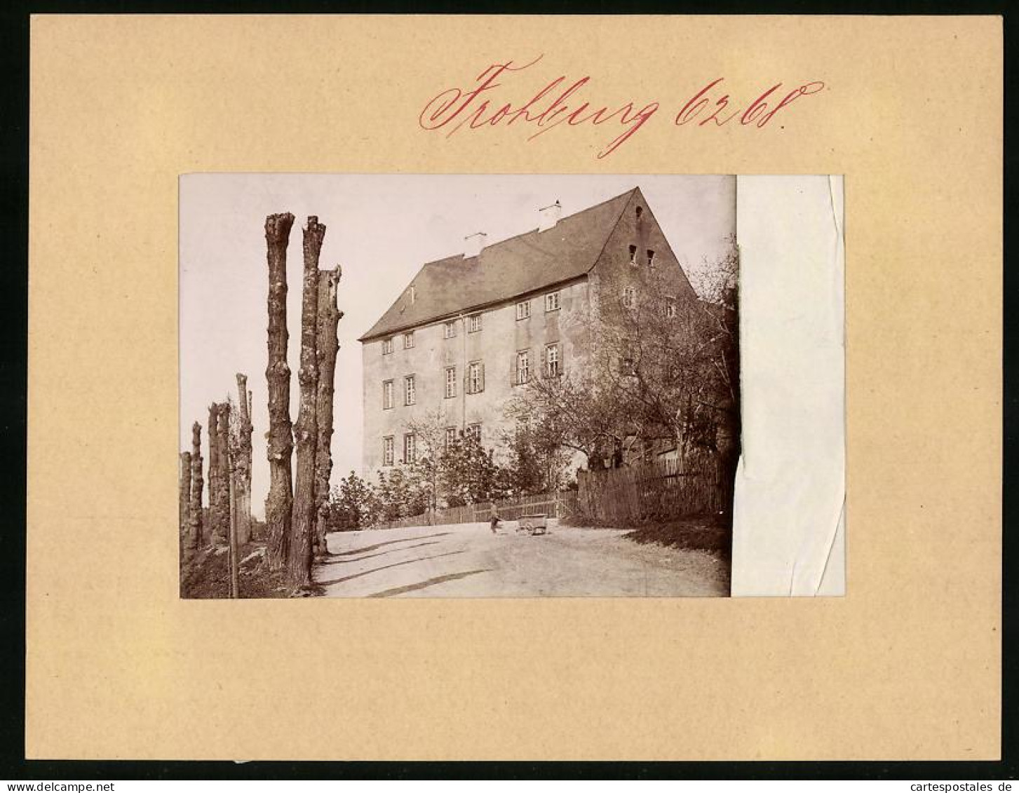 Fotografie Brück & Sohn Meissen, Ansicht Frohburg, Partie Am Schloss Mit Toten Bäumen  - Orte