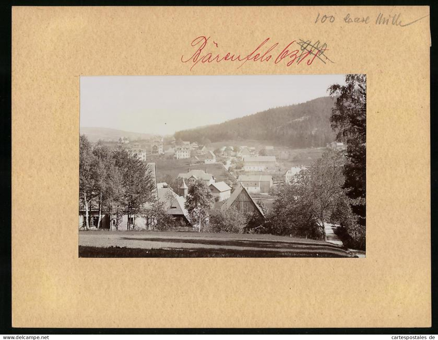 Fotografie Brück & Sohn Meissen, Ansicht Bärenfels I. Erzg., Ortspanorama Vom Wald Aus Gesehen  - Places