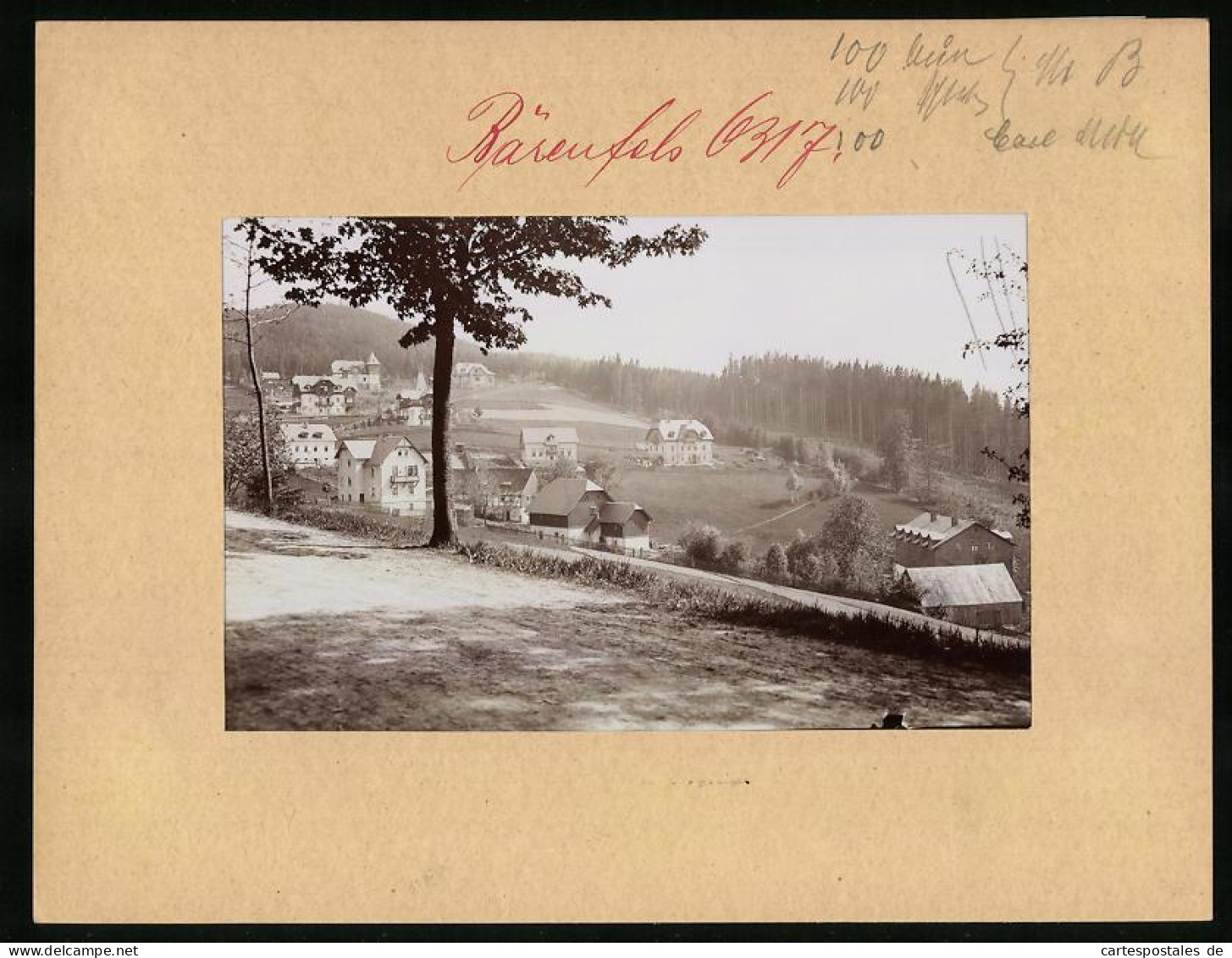 Fotografie Brück & Sohn Meissen, Ansicht Bärenfels I. Erzg., Teilansicht Der Ortschaft Von Der Strasse Aus Gesehen  - Places