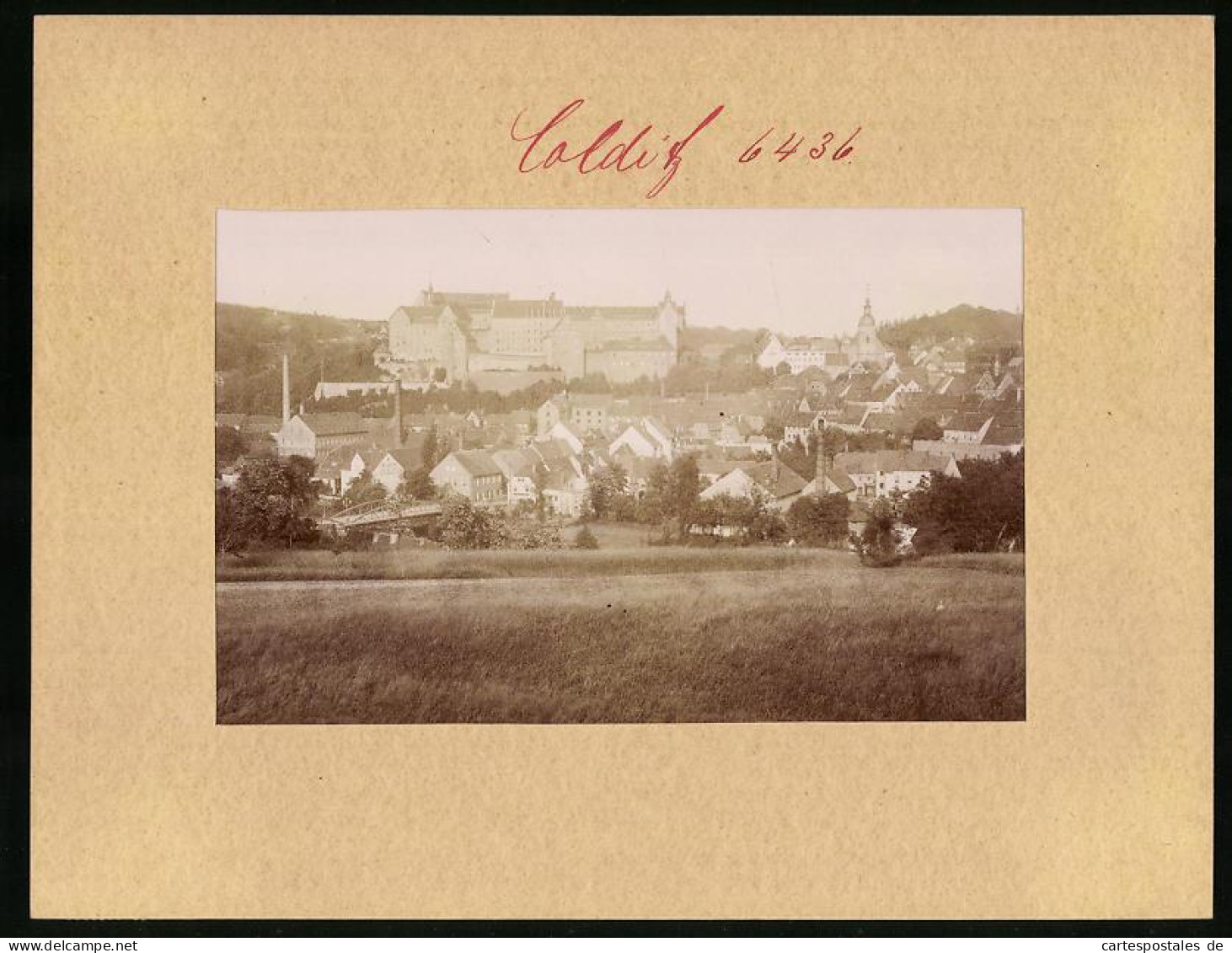 Fotografie Brück & Sohn Meissen, Ansicht Colditz, Panorama Vom Ort Mit Blick Auf Das Schloss  - Lieux
