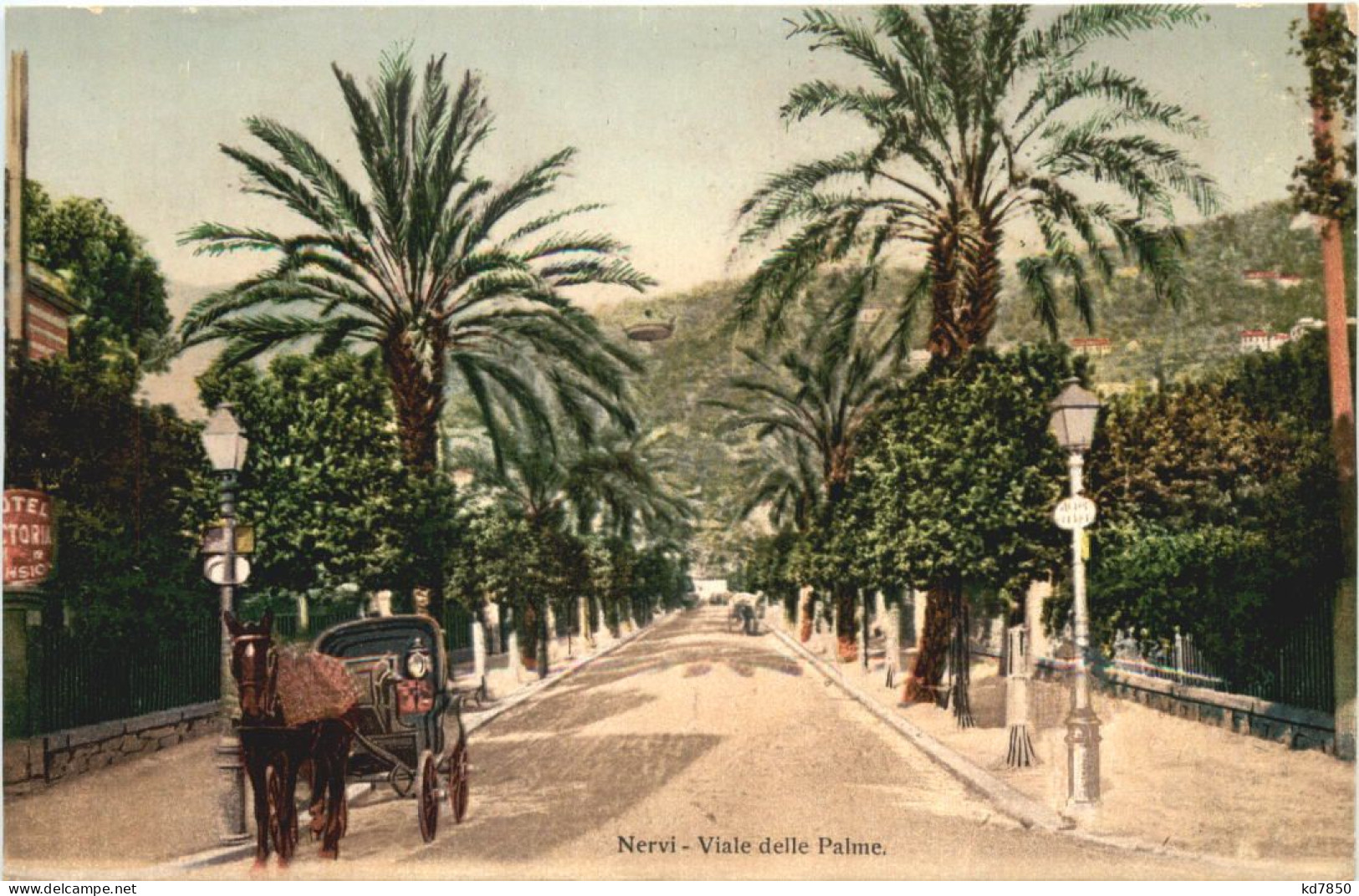 Nervi - Viale Delle Palme - Genova