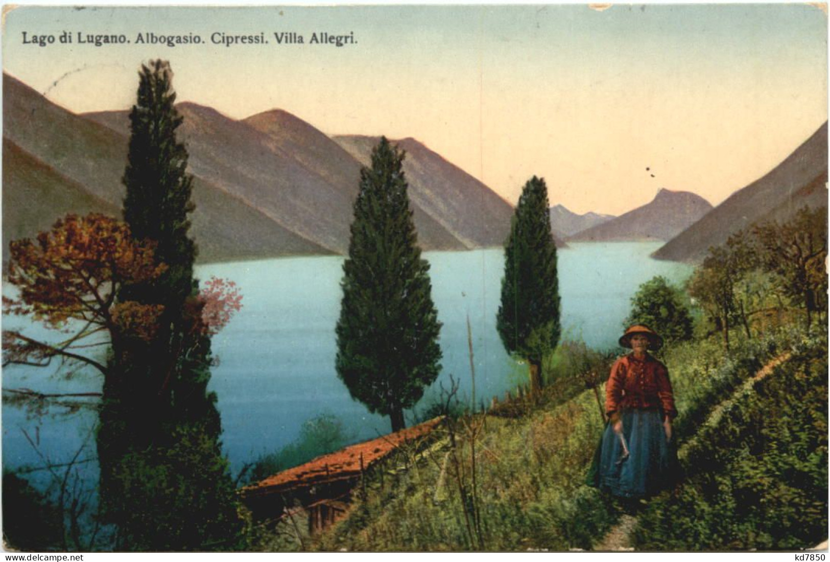 Lago Di Lugano - Albogasio - Cipressi - Villa Allegri - Andere & Zonder Classificatie