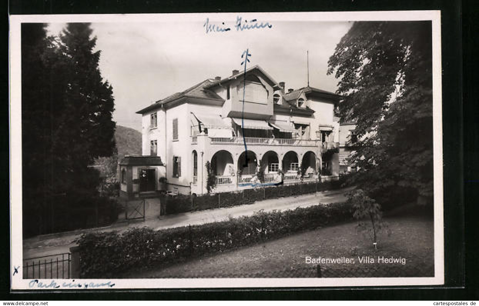 AK Badenweiler, Ansicht Der Villa Hedwig  - Badenweiler