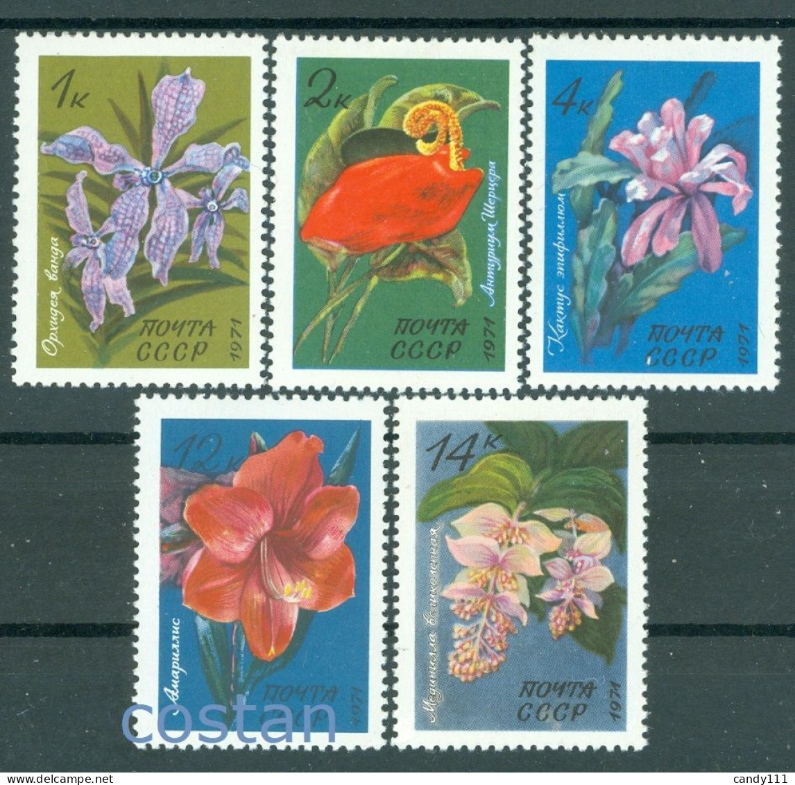 1971 Botanical Garden Flowers,Vanda Orchid,Amaryllis,flamingo Fl,Russia,3956,MNH - Ongebruikt