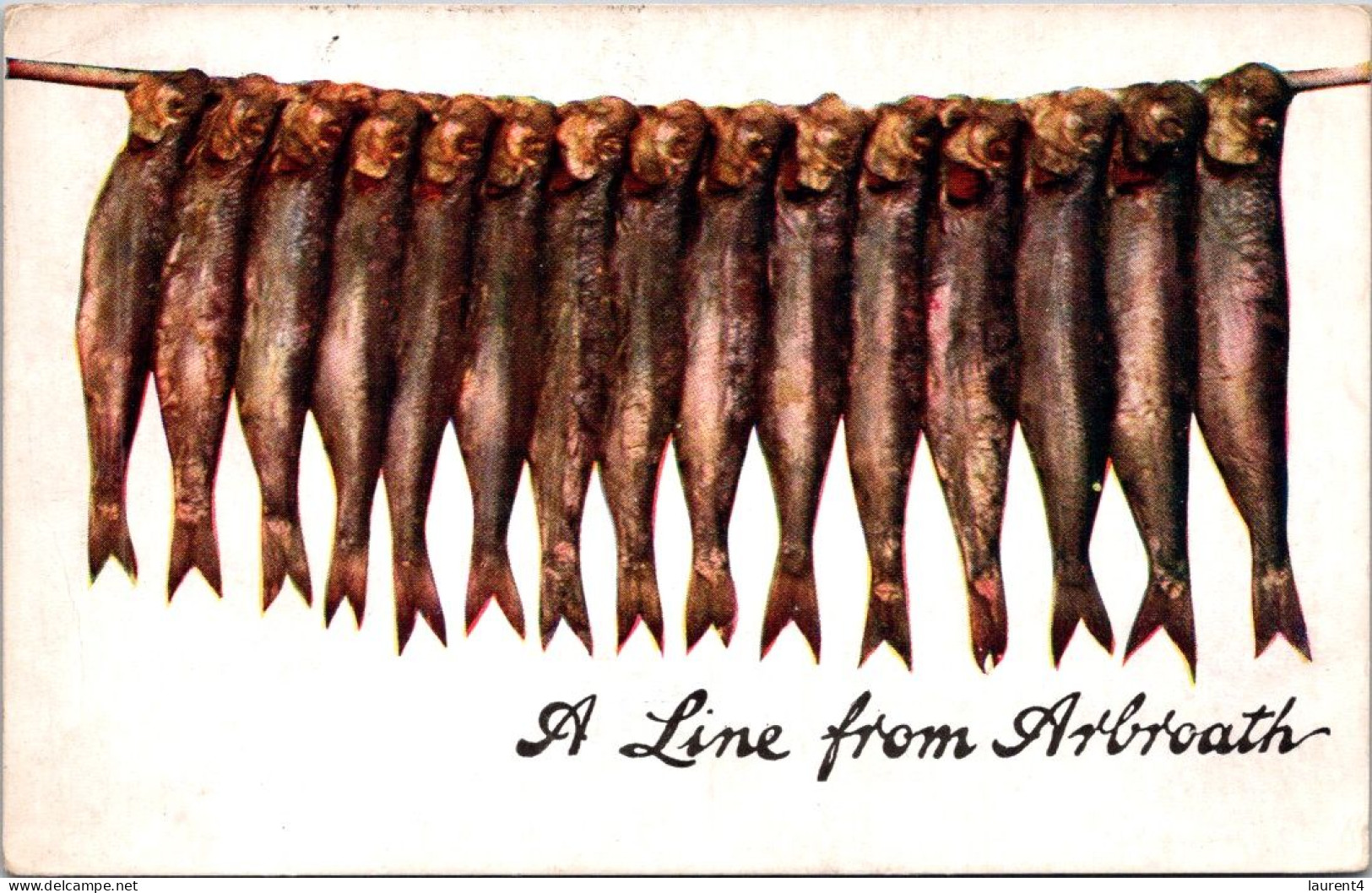 14-5-2024 (5 Z ) VERY OLD (posted 1907) UK Scotland - Humour - A Line From Arbroath (fish Drying) - Poissons Et Crustacés