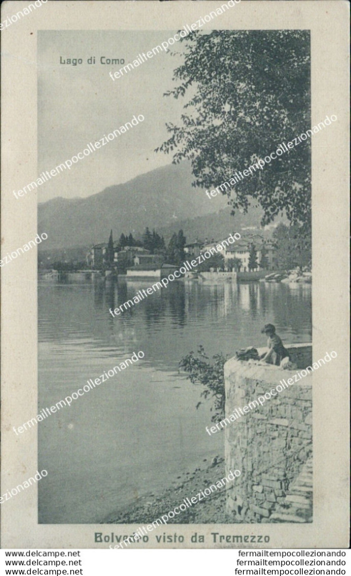 Az555 Cartolina Lago Di Como Bolvedro Visto Da Tremezzo - Como