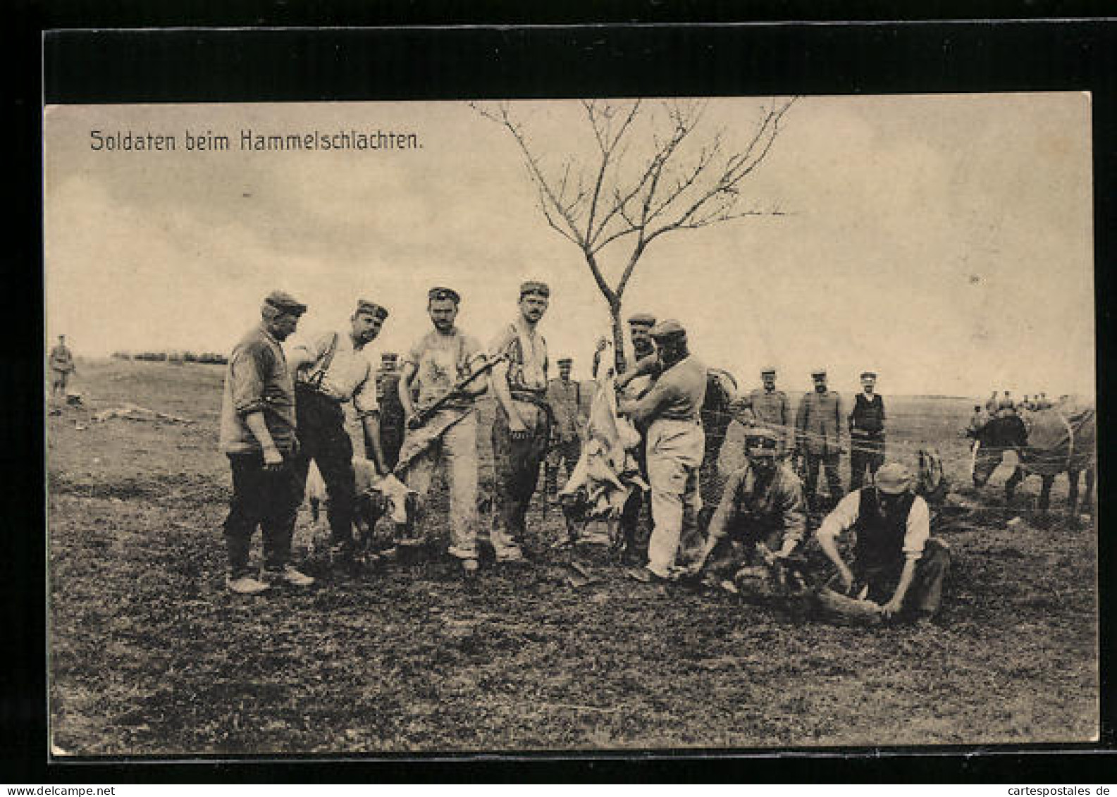 AK Soldaten Beim Hammelschlachten  - Guerre 1914-18