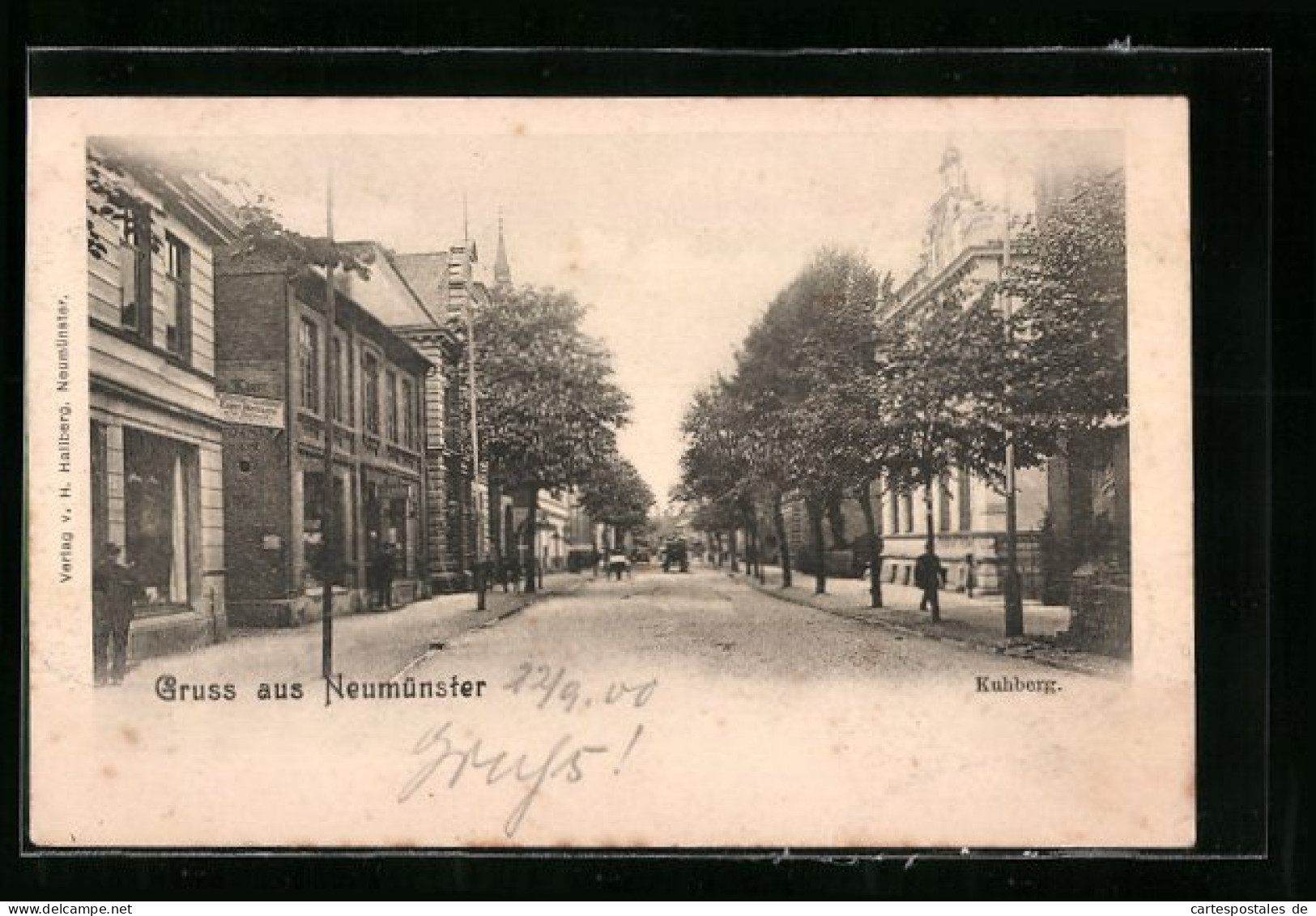 AK Neumünster, Wohnhäuser In Der Strasse Kuhberg  - Neumuenster