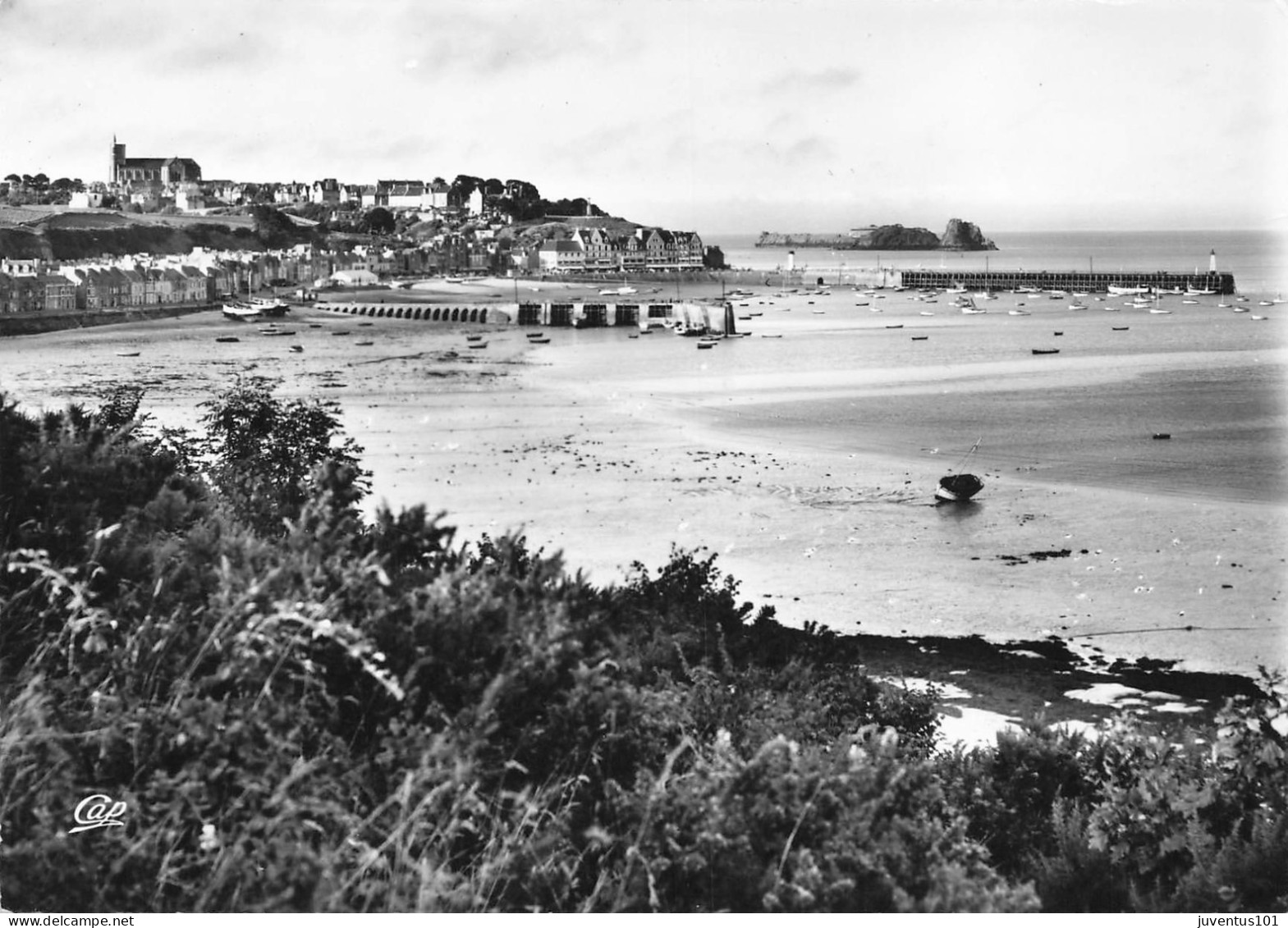 CPSM Cancale-Vue Générale          L2912 - Cancale