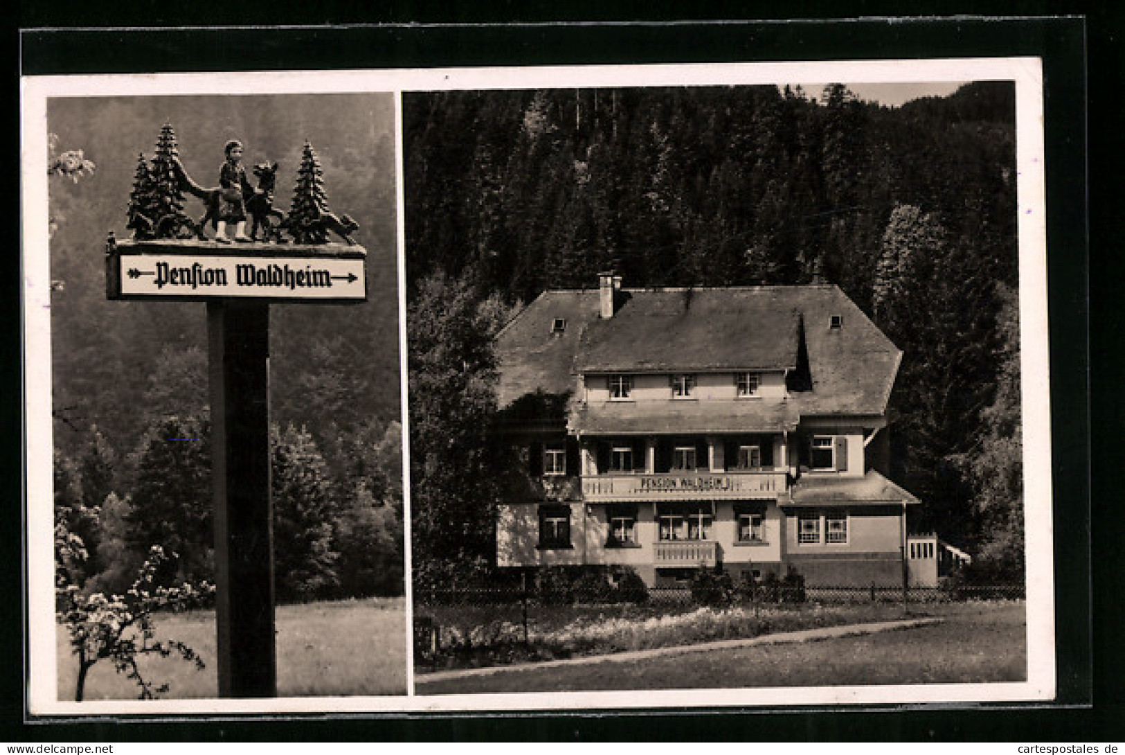 AK Hinterzarten Im Schwarzwald, Hotel-Pension Waldheim Mit Waldblick  - Hinterzarten