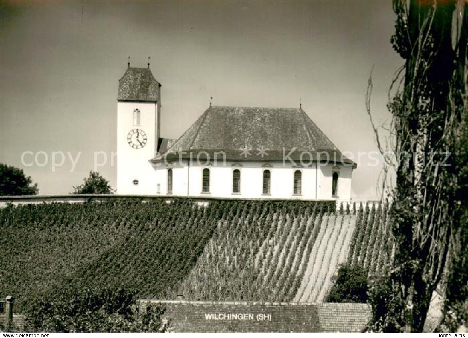 13734399 Wilchingen SH Kirche  - Sonstige & Ohne Zuordnung