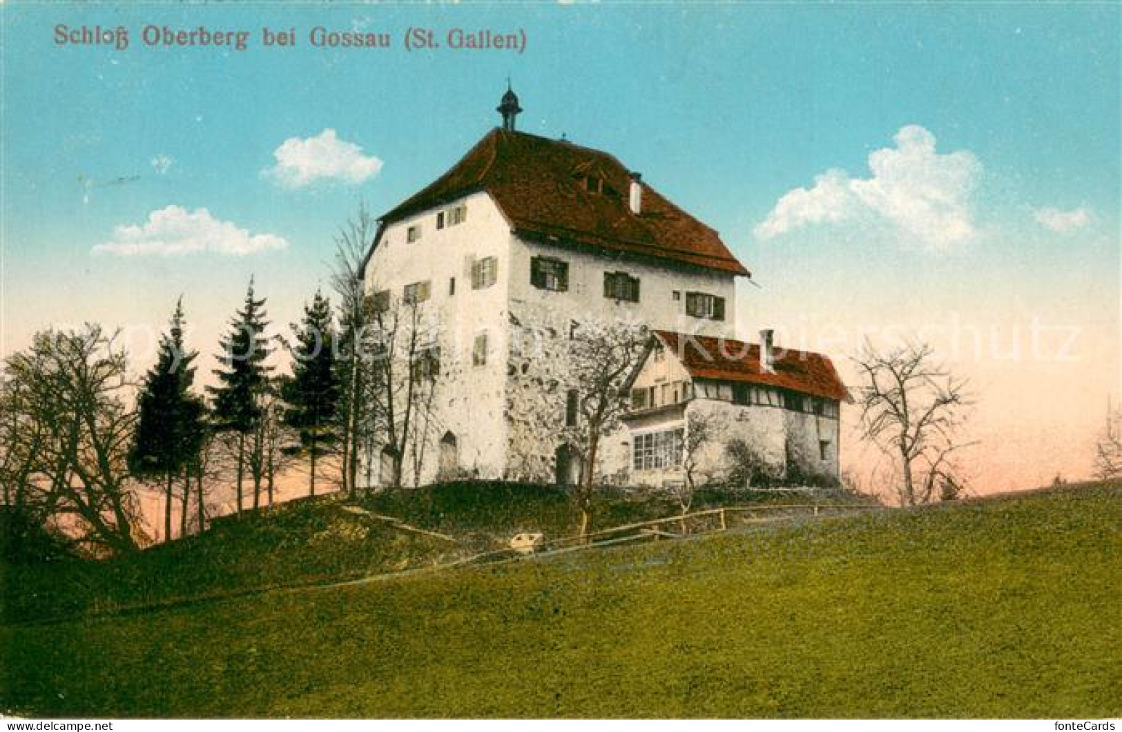 13729257 Gossau SG Schloss Oberberg Gossau SG - Other & Unclassified