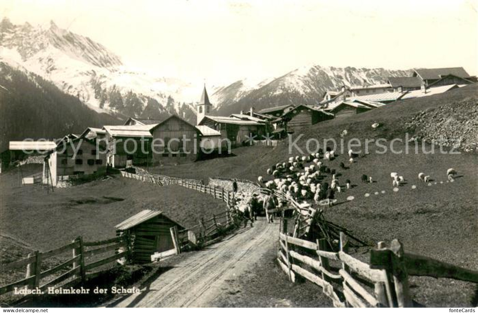 13728837 Latsch GR Ortsansicht Mit Heimkehrender Schafherde Latsch GR - Autres & Non Classés