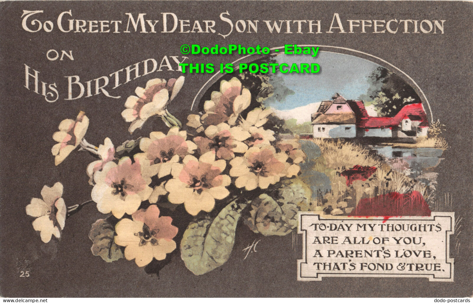 R347806 To Greet My Dear Son With Affection On His Birthday. Martin J. Ridley - Monde