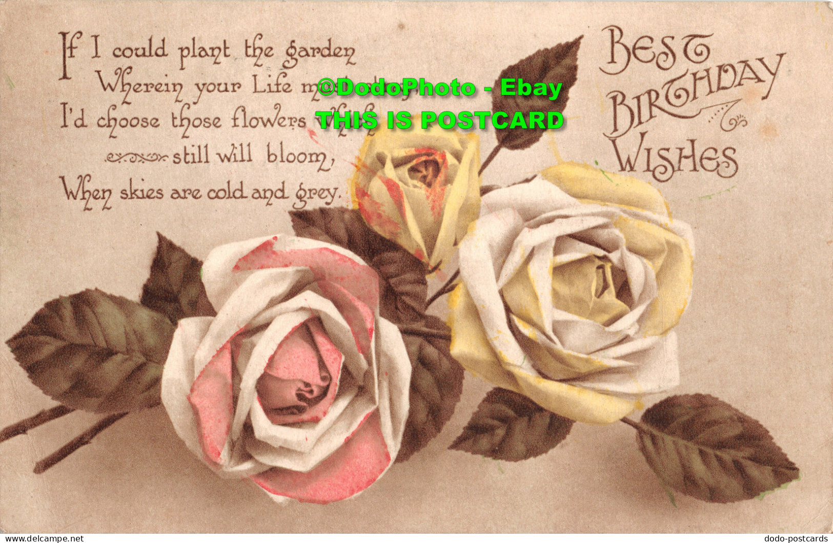 R347827 Best Birthday Wishes. Roses. Series W 871. 3. 1919 - World
