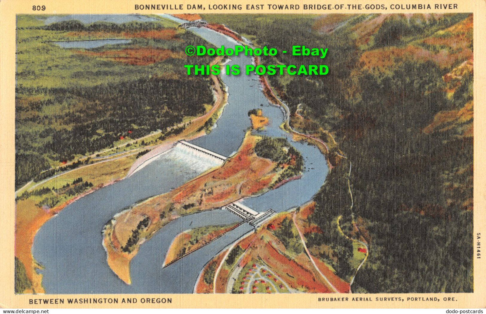 R347146 Bonneville Dam. Looking East Toward Bridge Of The Gods. Columbia River. - Monde