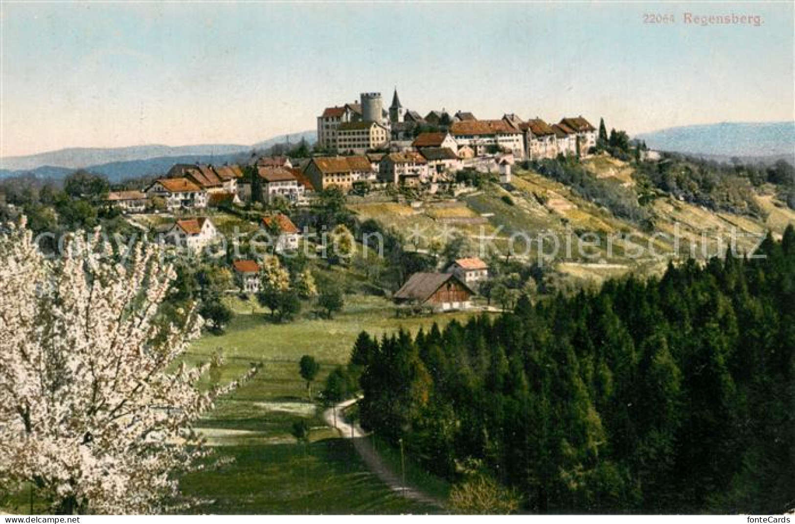 13727929 Regensberg Dielsdorf ZH Hotel Krone Panorama Mit Schloss  - Sonstige & Ohne Zuordnung