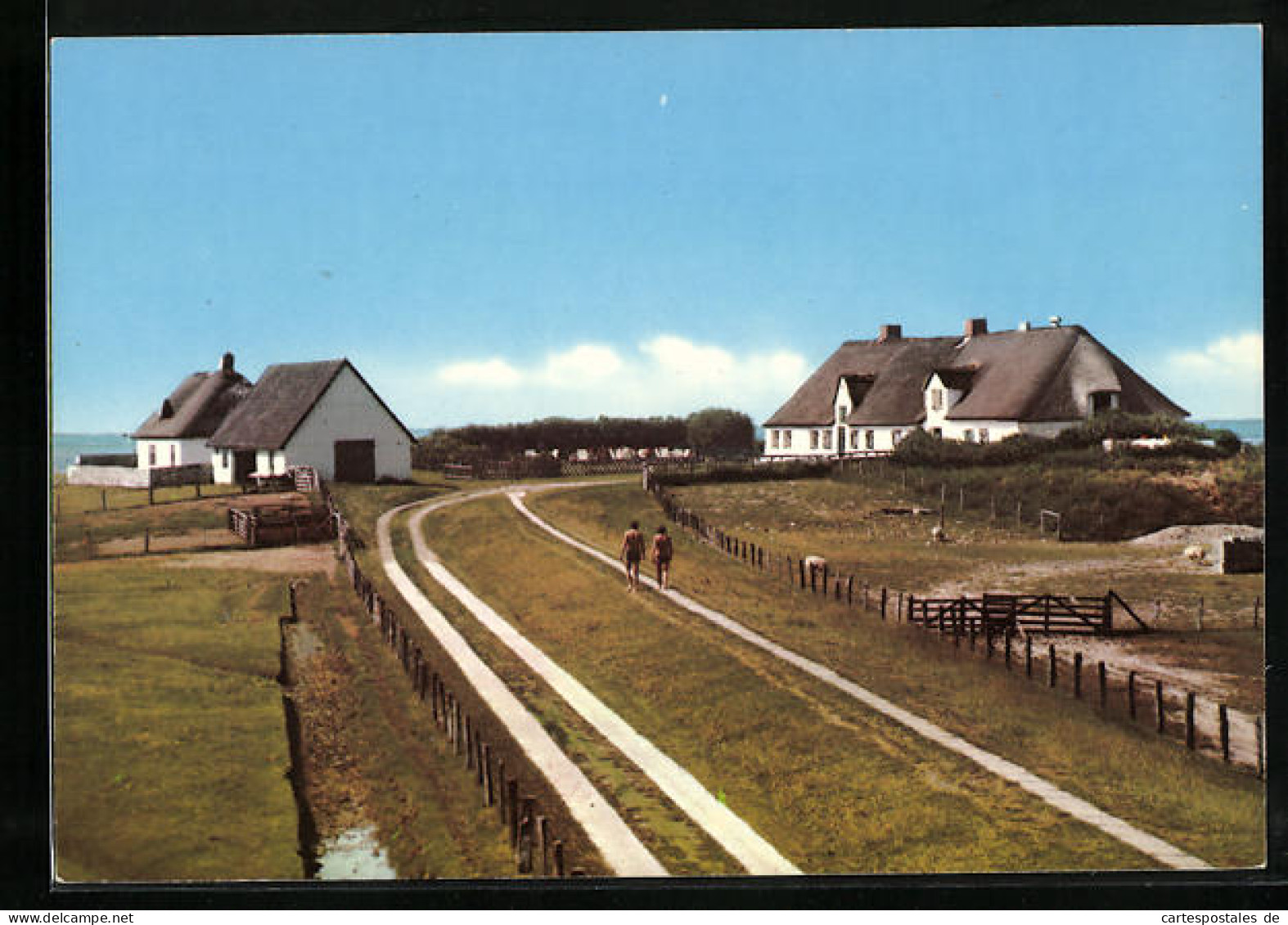 AK Hamburger Hallig, Friesenhäuser  - Other & Unclassified