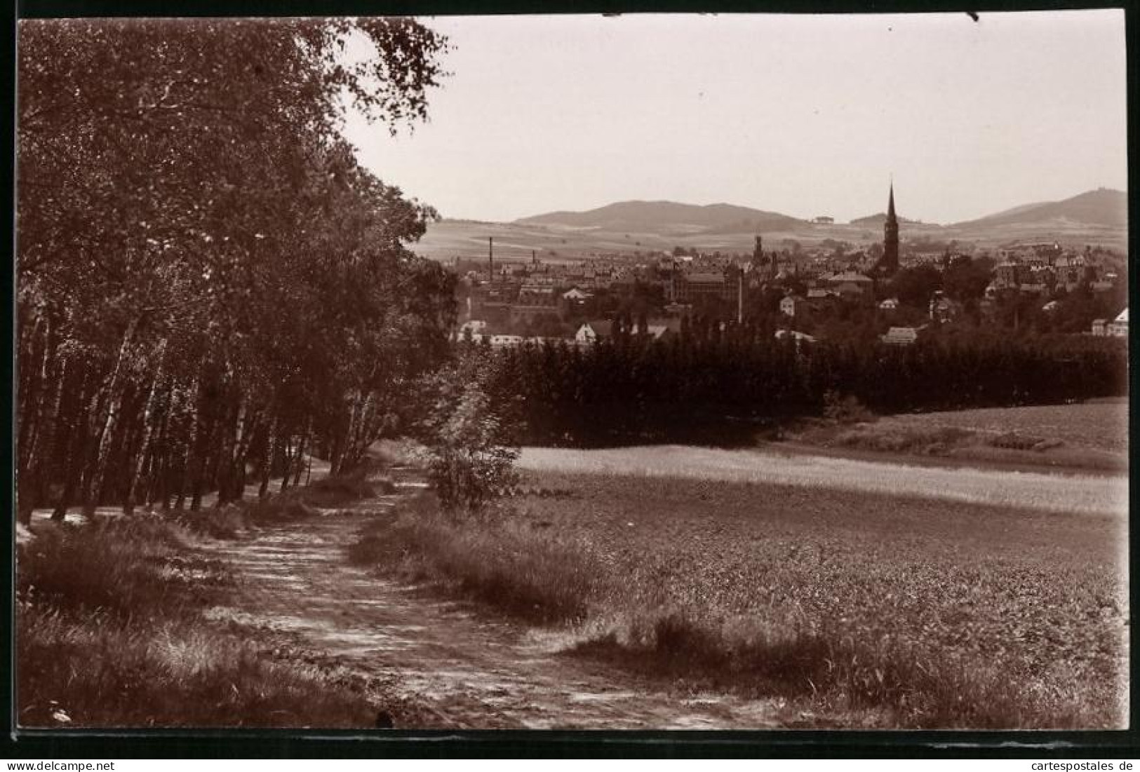 Fotografie Brück & Sohn Meissen, Ansicht Löbau I. Sa., Feldweg Mit Blick Auf Die Stadt, Birkenwald  - Lieux