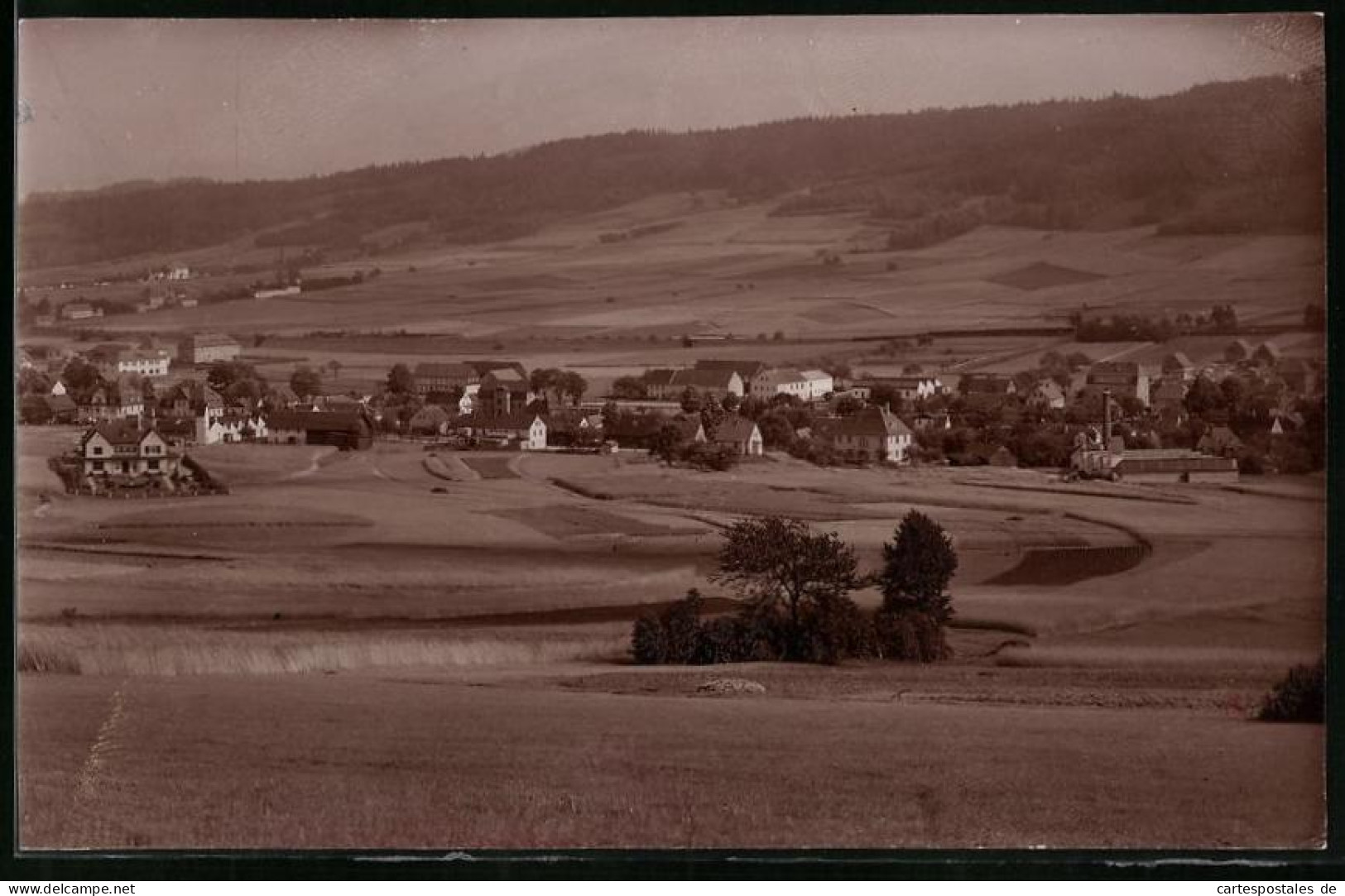 Fotografie Brück & Sohn Meissen, Ansicht Wilthen I. Sa., Blick Auf Oberwilthen Mit Wohnhäusern  - Lieux