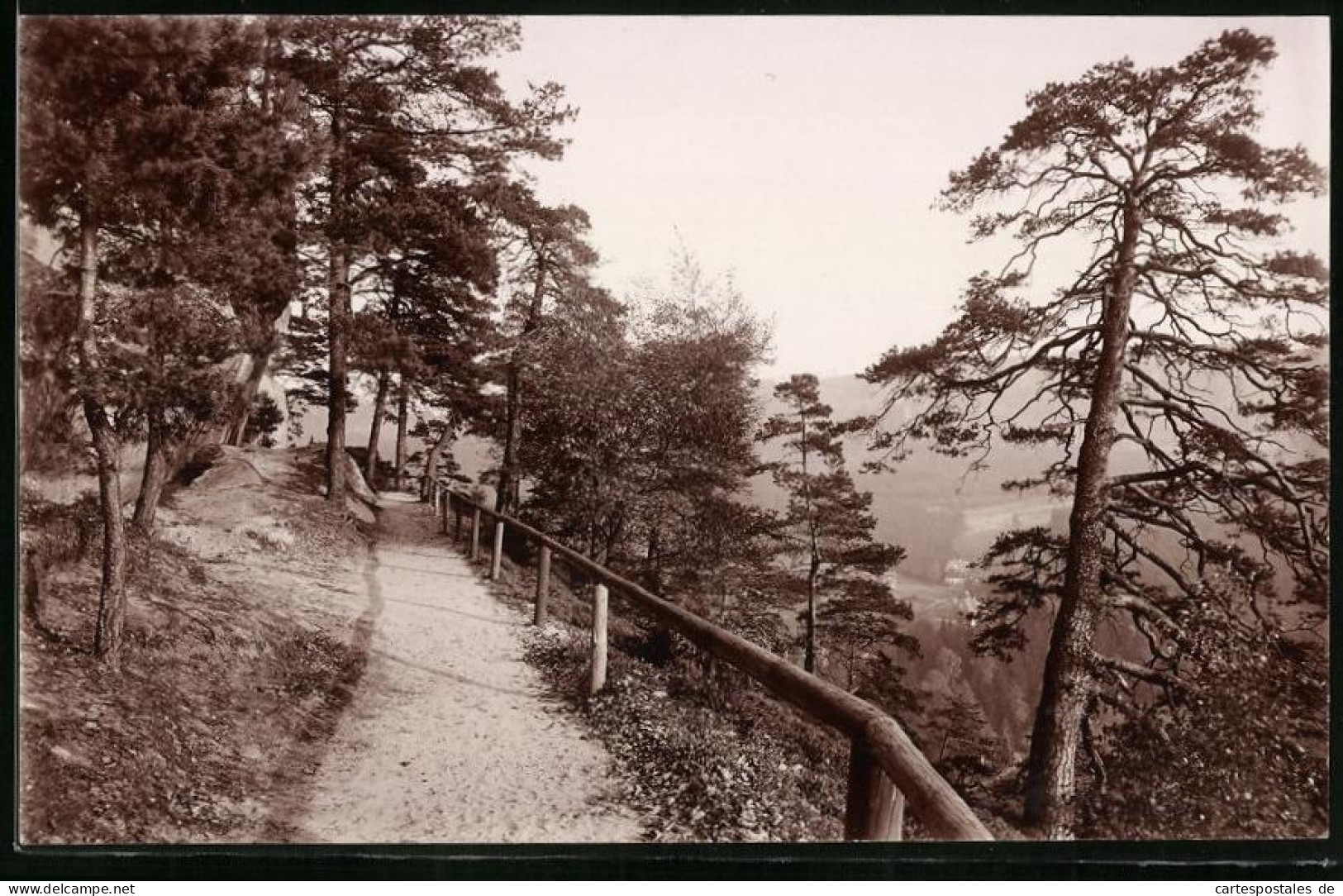 Fotografie Brück & Sohn Meissen, Ansicht Oybin, Partie Auf Dem Oybin Am Bergringweg  - Lugares