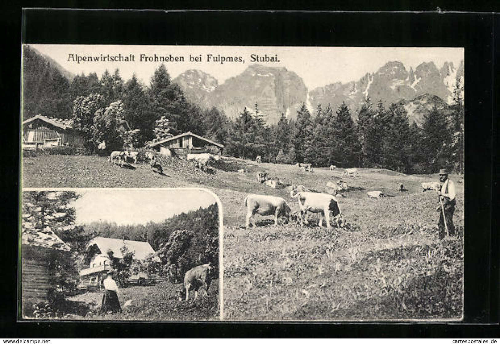 AK Telfes /Stubai, Alpengasthaus Frohneben, Ortspartie Mit Weidenden Kühen  - Other & Unclassified