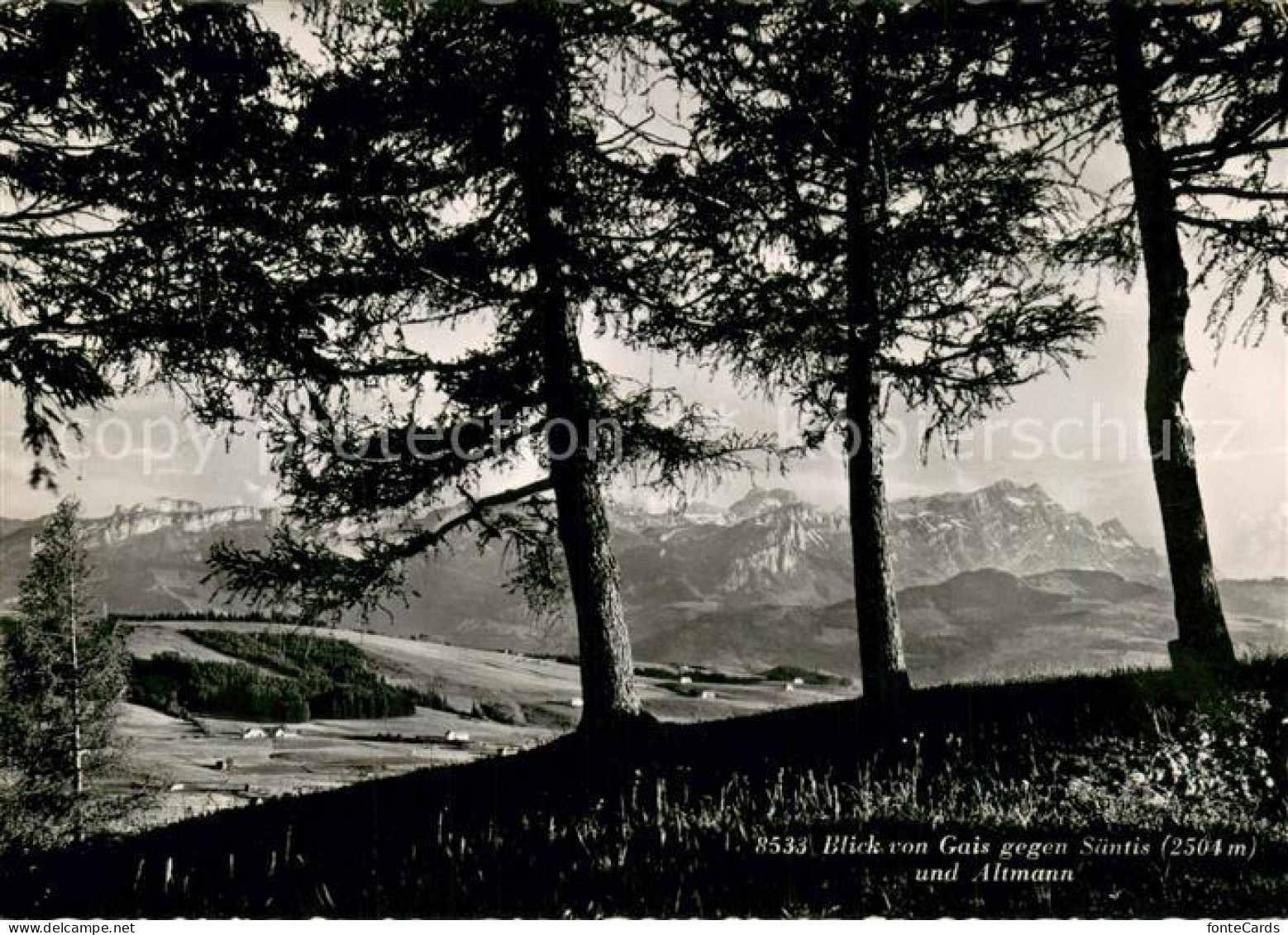 13716307 Gais AR Panorama Blick Gegen Saentis Und Altmann Appenzeller Alpen Gais - Sonstige & Ohne Zuordnung