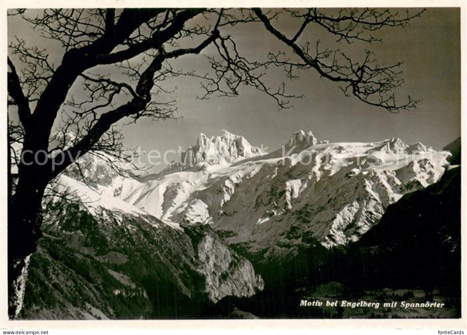 13711037 Engelberg  OW Bergwelt Motiv Mit Spannoerter Urner Alpen  - Sonstige & Ohne Zuordnung