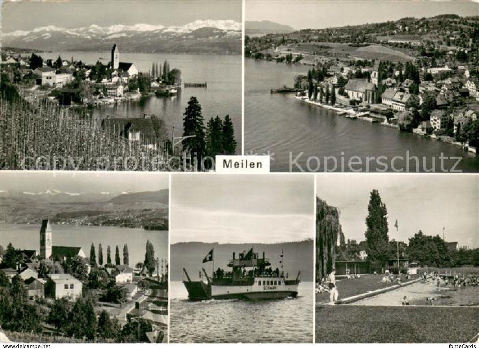 13707737 Meilen Panorama Ort Am Zuerichsee Faehre Schwan Badestrand Meilen - Sonstige & Ohne Zuordnung