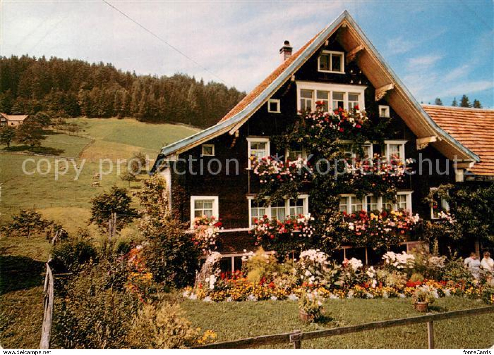 13706829 Ottikon Gossau Puureheimetli Im Appenzellerland Blumenschmuck Ottikon G - Sonstige & Ohne Zuordnung