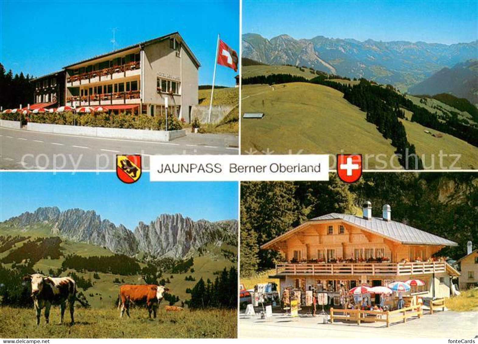 13688577 Jaunpass Berner Oberland Hotel Des Alpes Jaunpass - Altri & Non Classificati