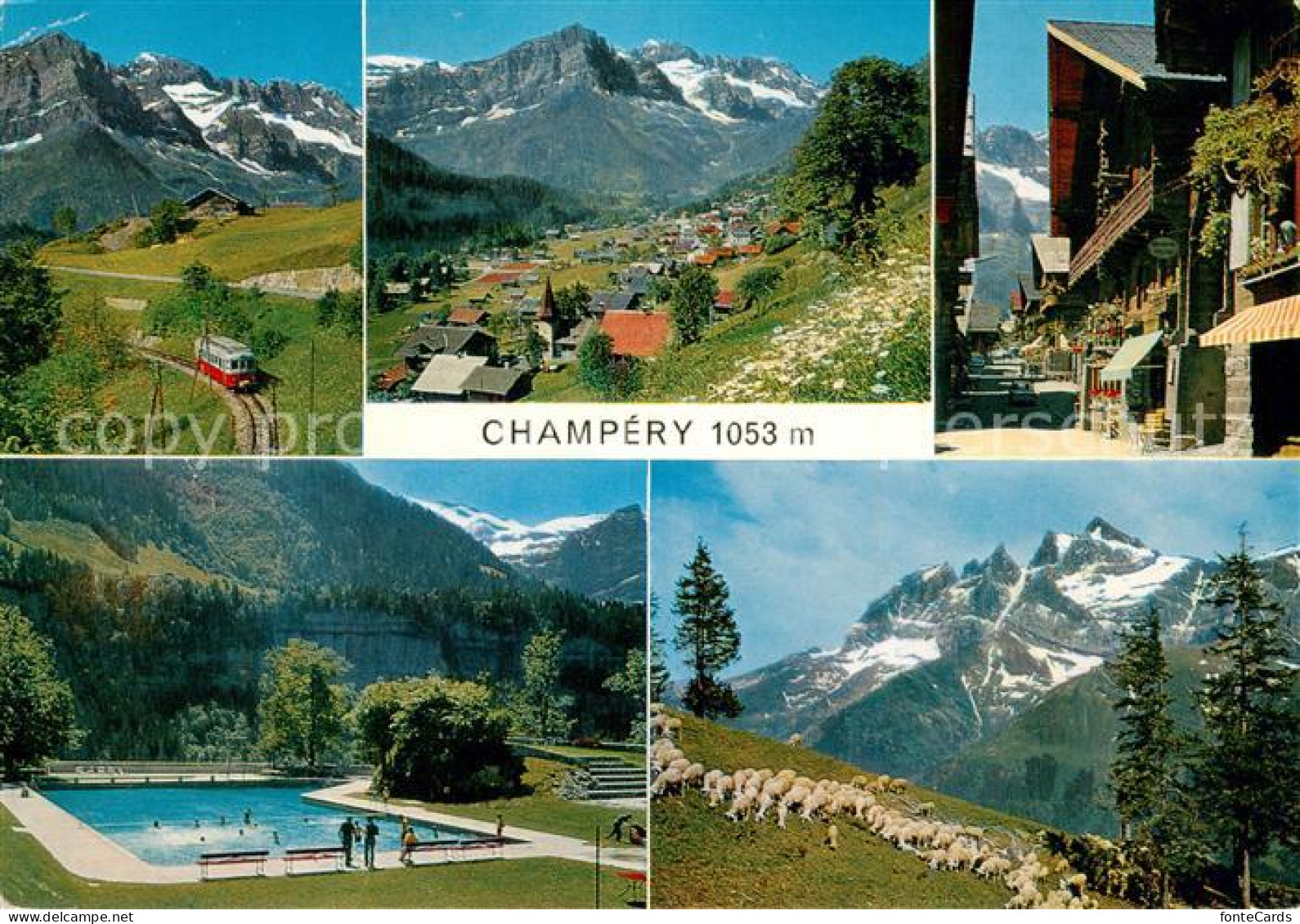 13663487 Champery Bahn Panorama Gasse Schwimmbad Schafherde Champery - Other & Unclassified