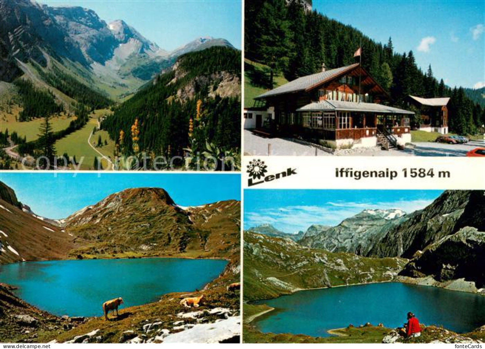 13637409 Lenk Simmental Iffigenalp Bergsee Panorama Berner Alpen Lenk Simmental - Other & Unclassified