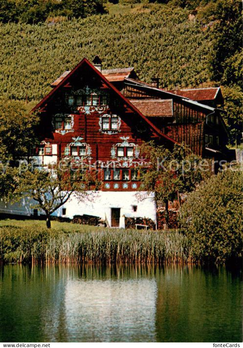 13628457 Werdenberg Das Drachenhaus Werdenberg - Otros & Sin Clasificación