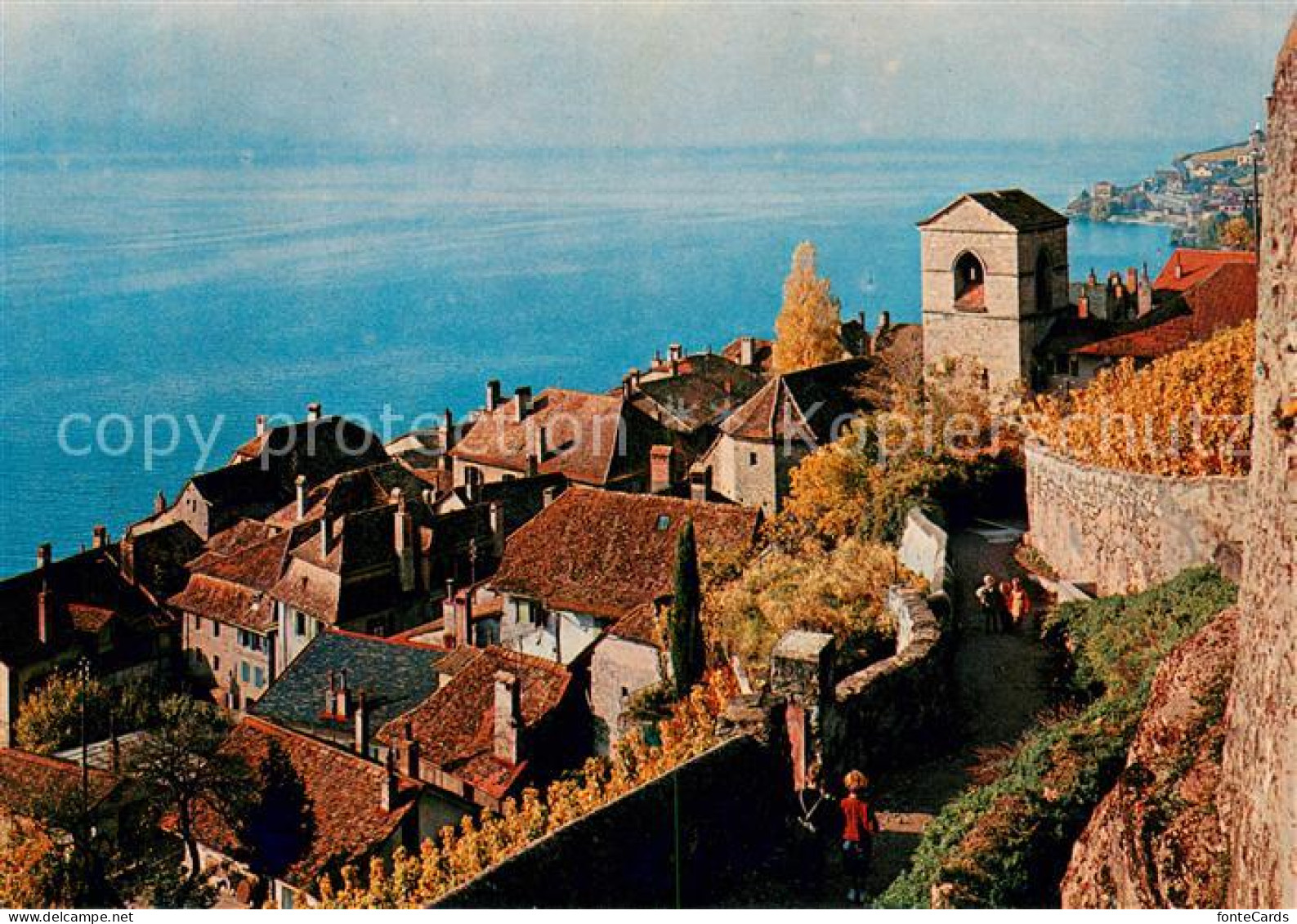 13627869 St Saphorin Lavaux Panorama Lac Leman Genfersee St Saphorin Lavaux - Andere & Zonder Classificatie