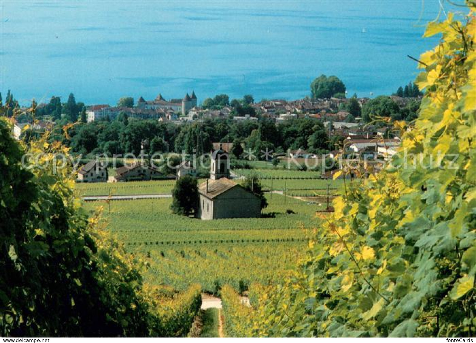 13627379 Rolle Vaud La Ville Depuis Les Vignobles Rolle Vaud - Altri & Non Classificati
