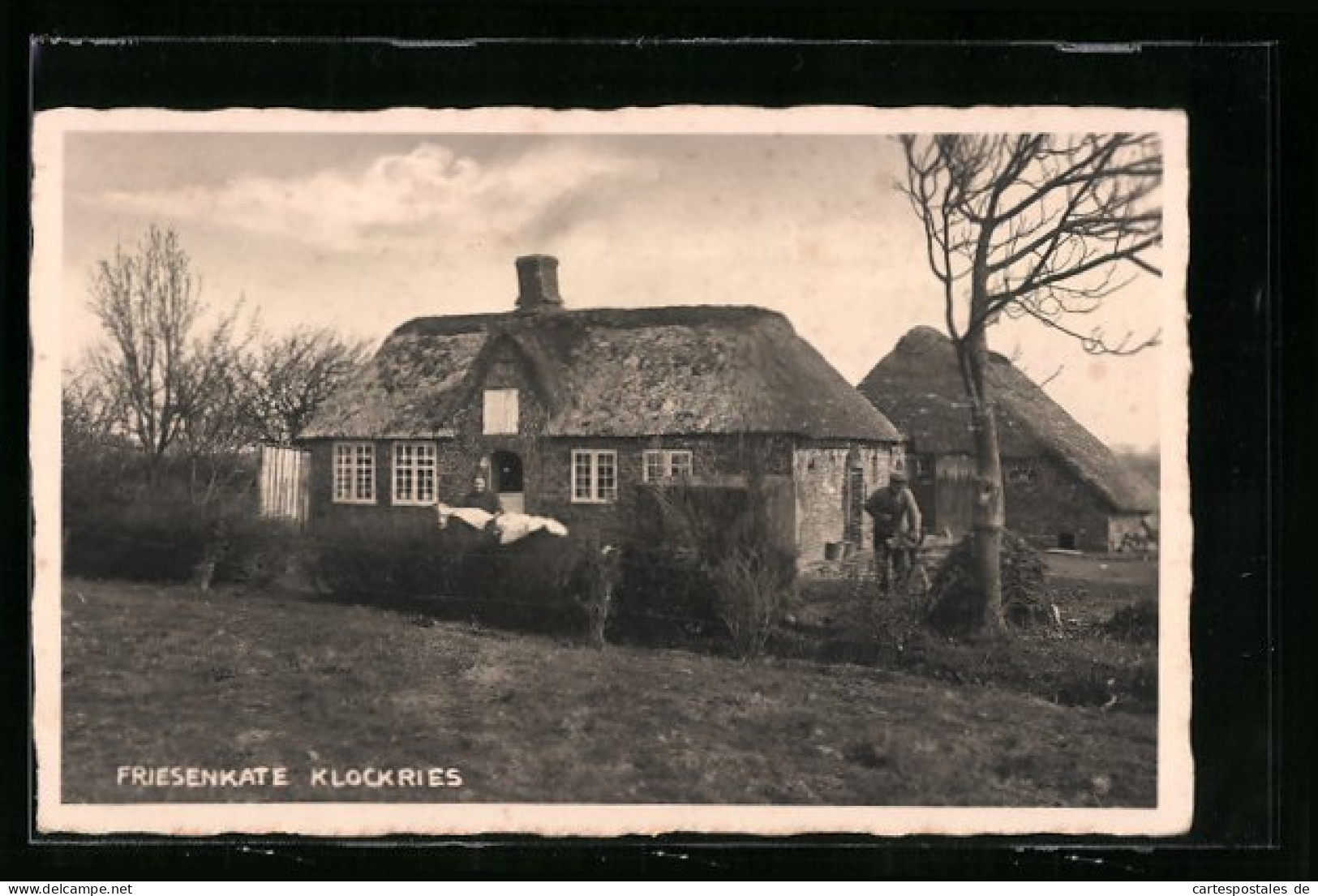 Foto-AK Klockries, Friesenkate Um 1940  - Sonstige & Ohne Zuordnung