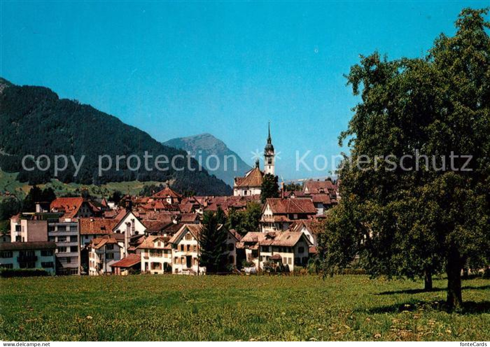 13603959 Schwyz Ansicht Mit Kirche Schwyz - Altri & Non Classificati