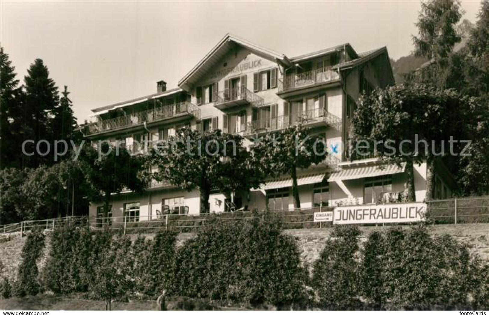 13603849 Wengen BE Hotel Jungfraublick Berner Alpen Wengen BE - Other & Unclassified