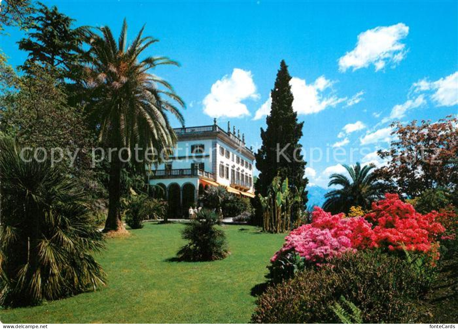 13601667 Brissago Lago Maggiore Parco Botanico Del Ticino  Brissago Lago Maggior - Andere & Zonder Classificatie