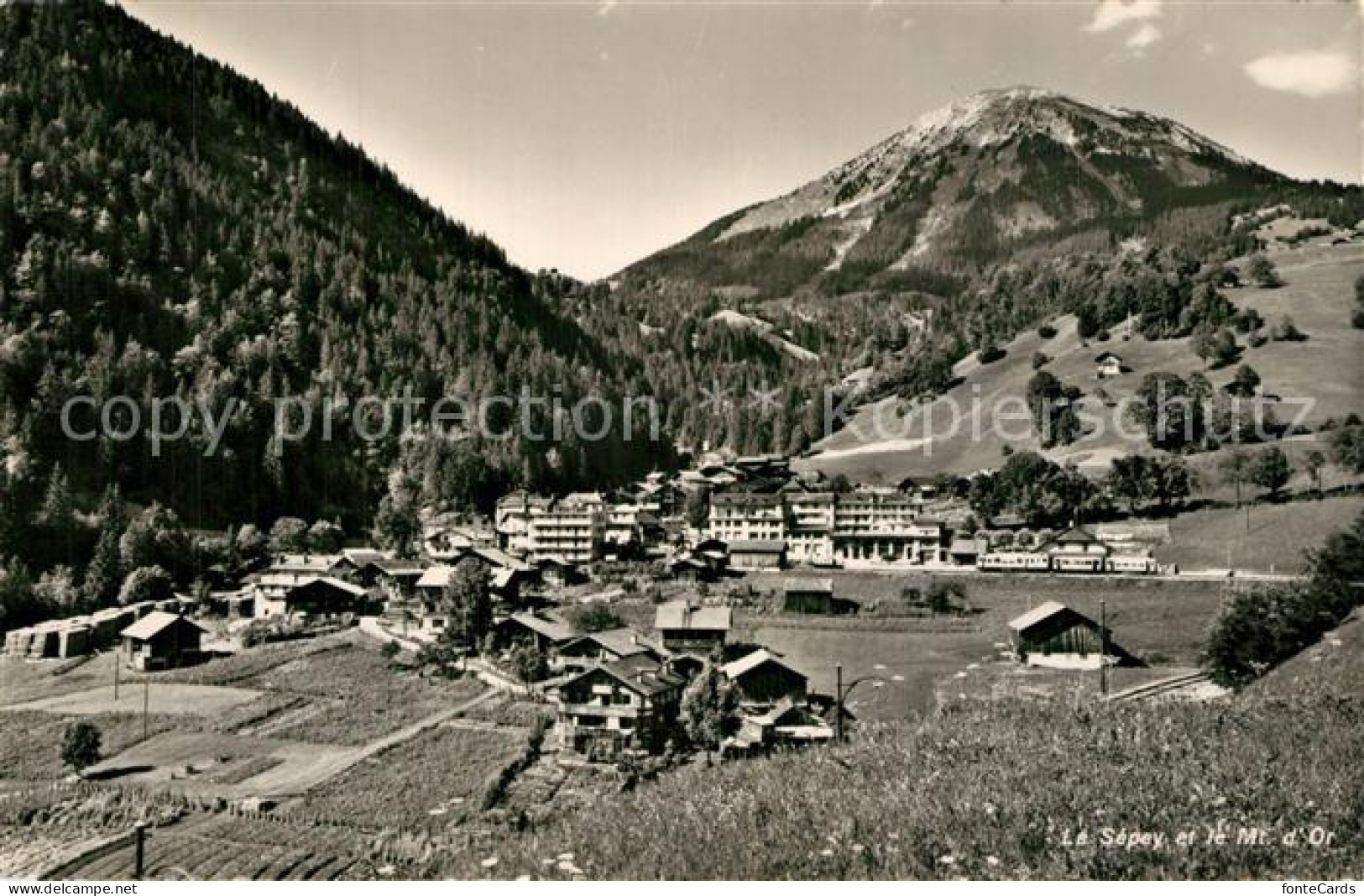 13600519 Le Sepey Panorama Blick Gegen Mont D Or Jura Le Sepey - Autres & Non Classés