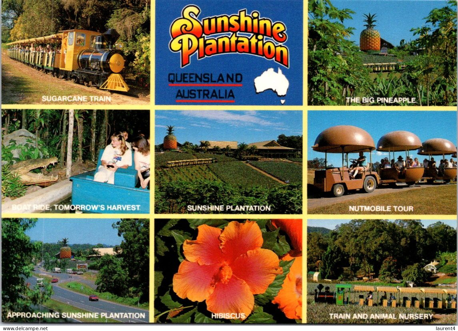 14-5-2024 (5 Z 1) Australia  (not Posted) QLD - Sunsgine Plantation (7 +2  Views) - Cultivation