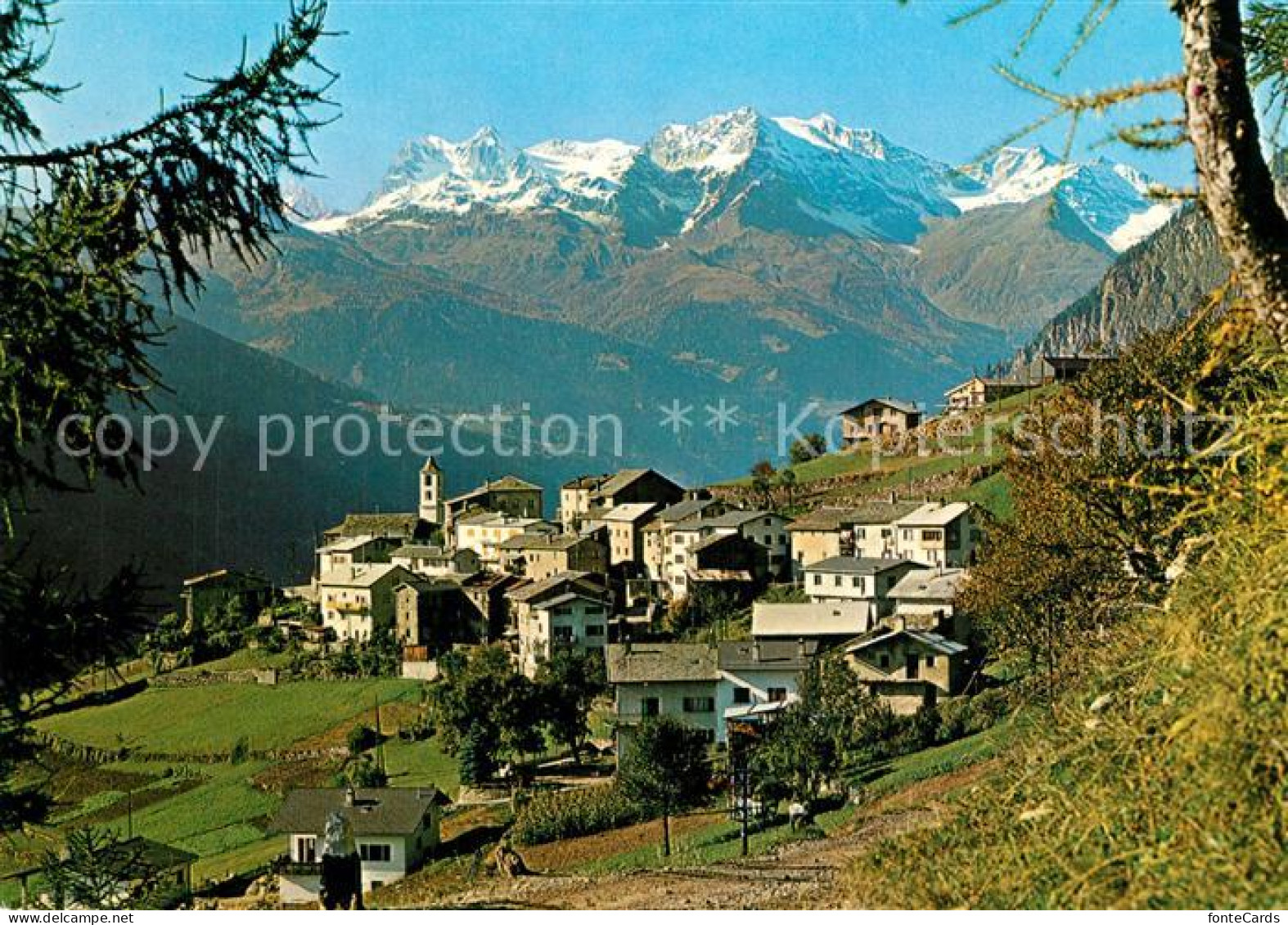 13596567 Viano Val Poschiavo Piz-Veruna Viano - Andere & Zonder Classificatie