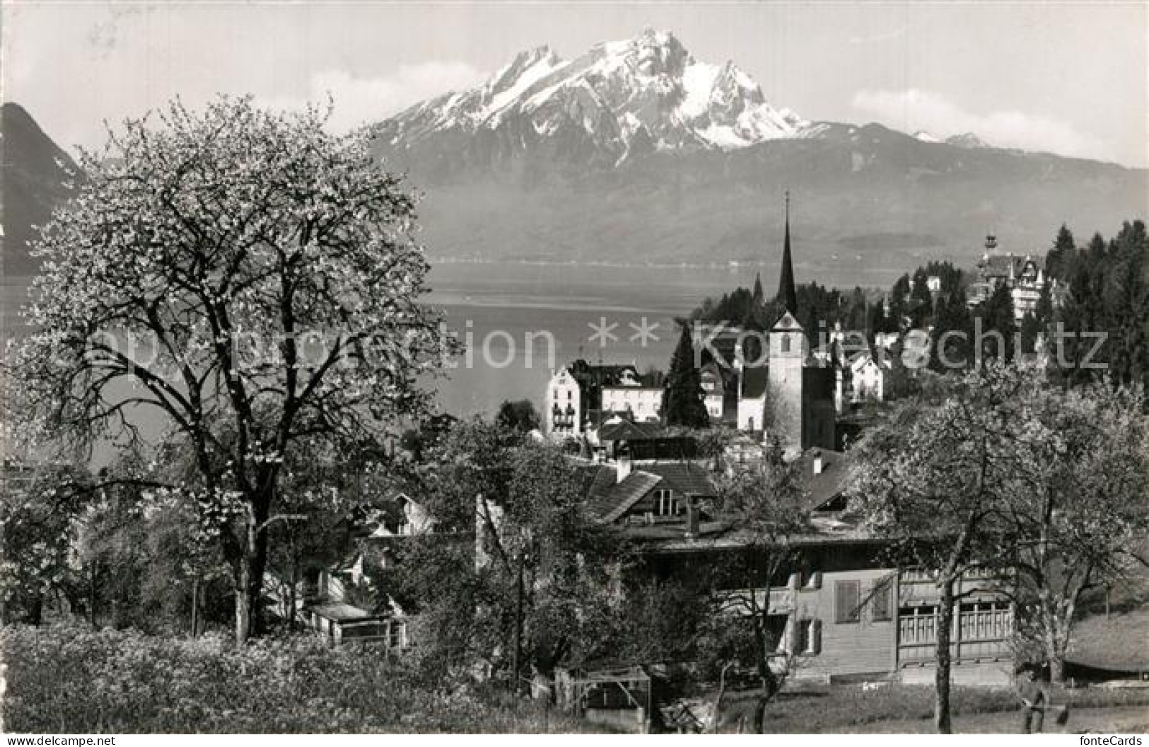 13591567 Weggis Vierwaldst?ttersee See Mit Pilatus  - Autres & Non Classés