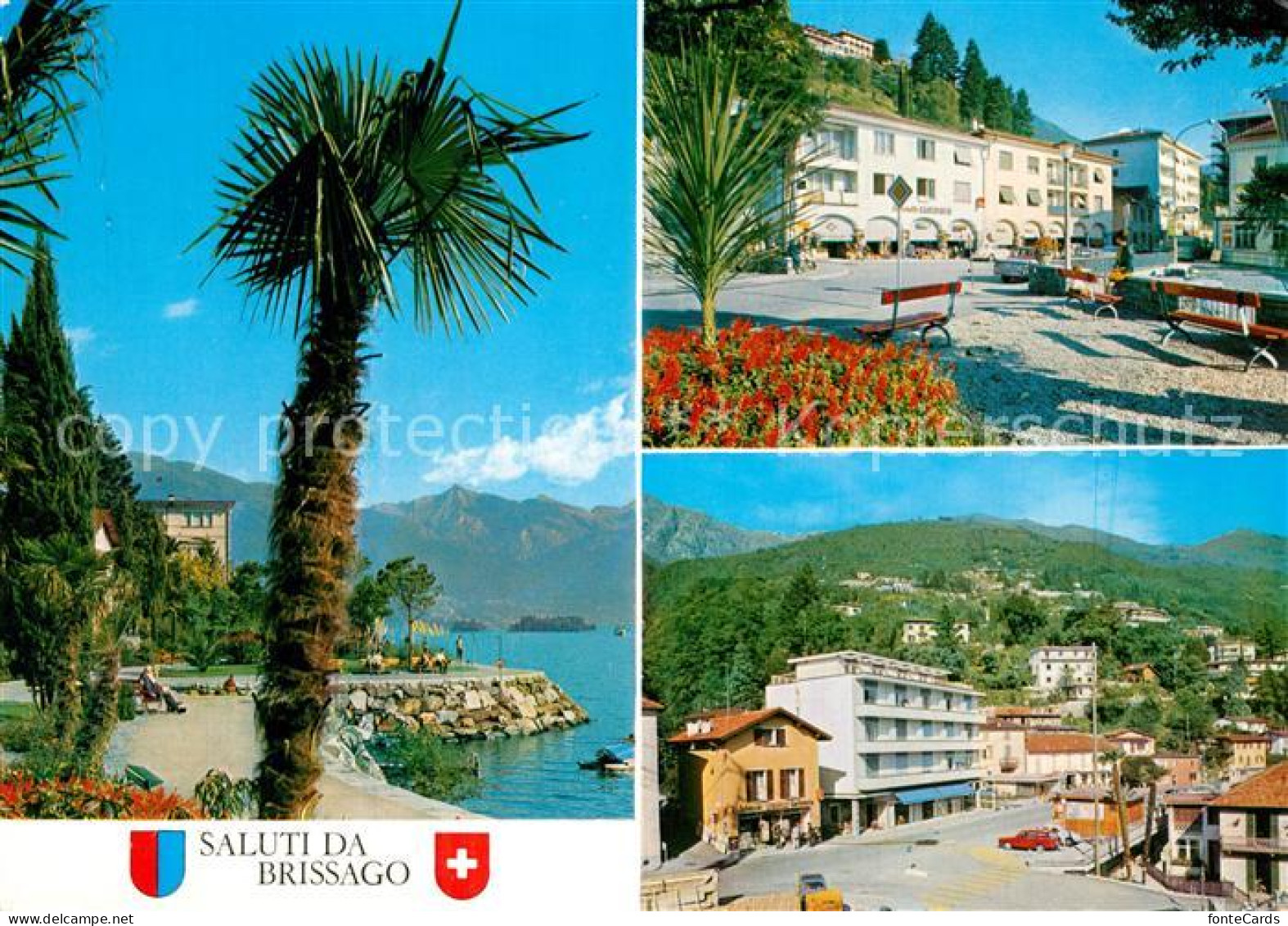 13589999 Brissago Lago Maggiore Uferstrasse Palmen Ortsmotive Brissago Lago Magg - Andere & Zonder Classificatie